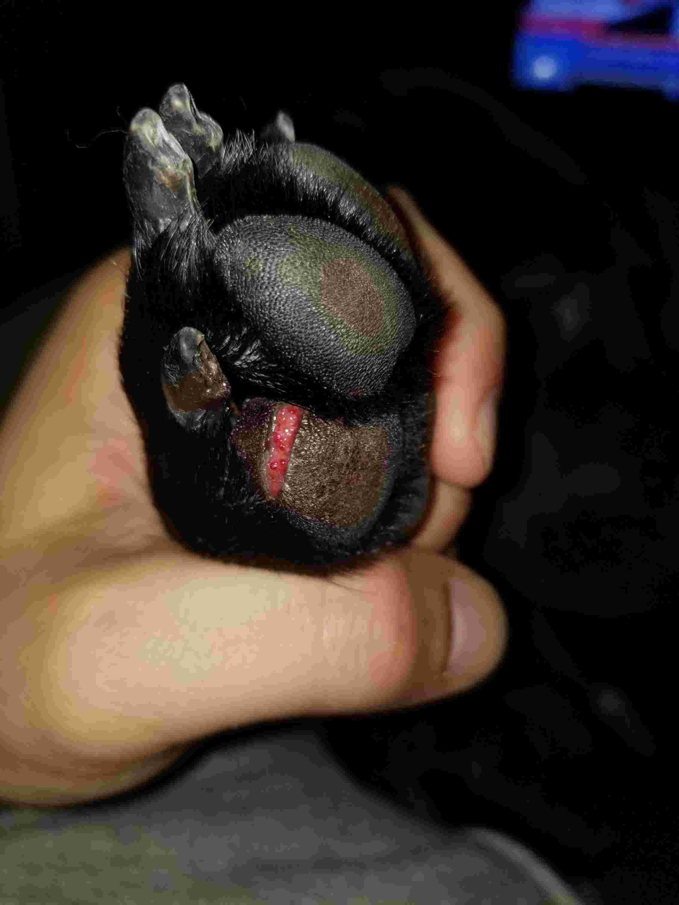 Question details sensitive content