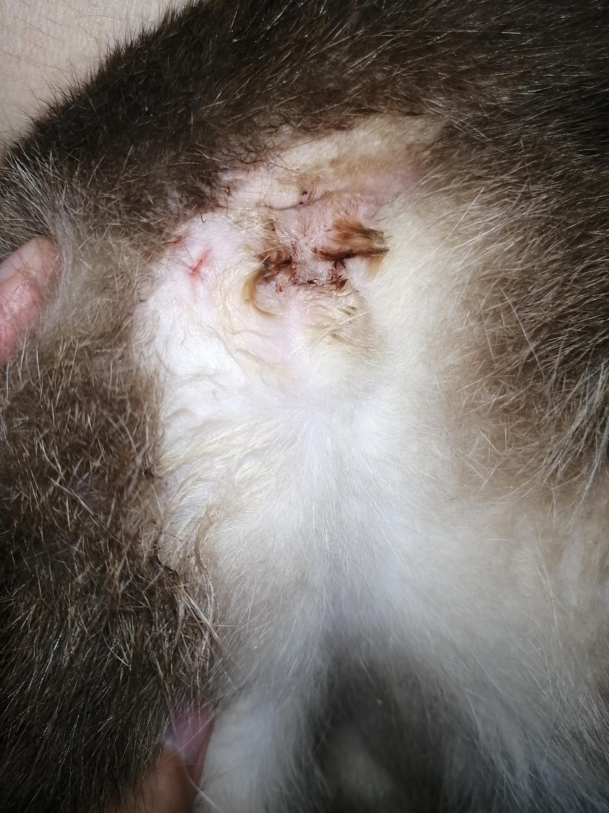 Question details sensitive content