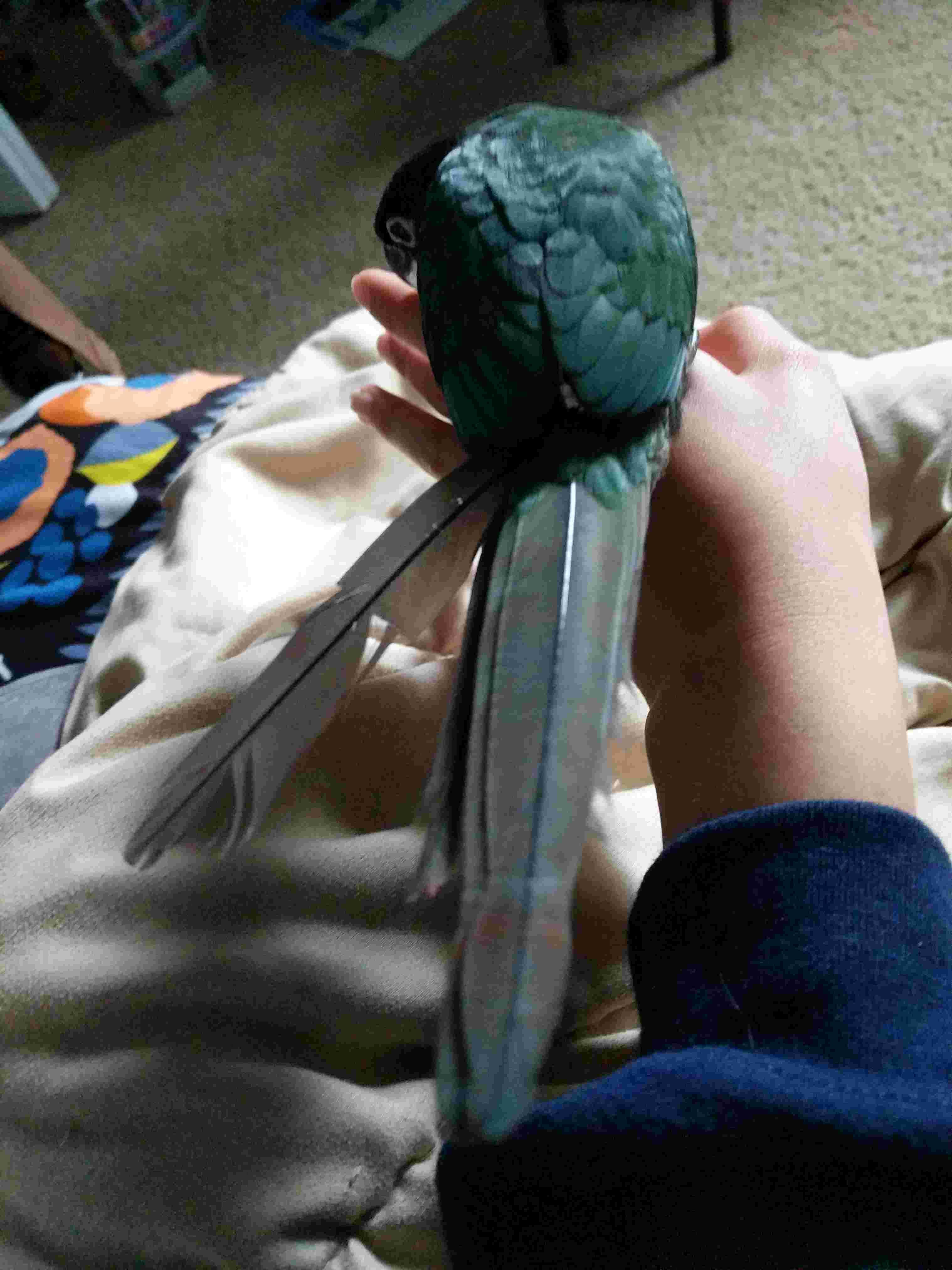 Question details sensitive content