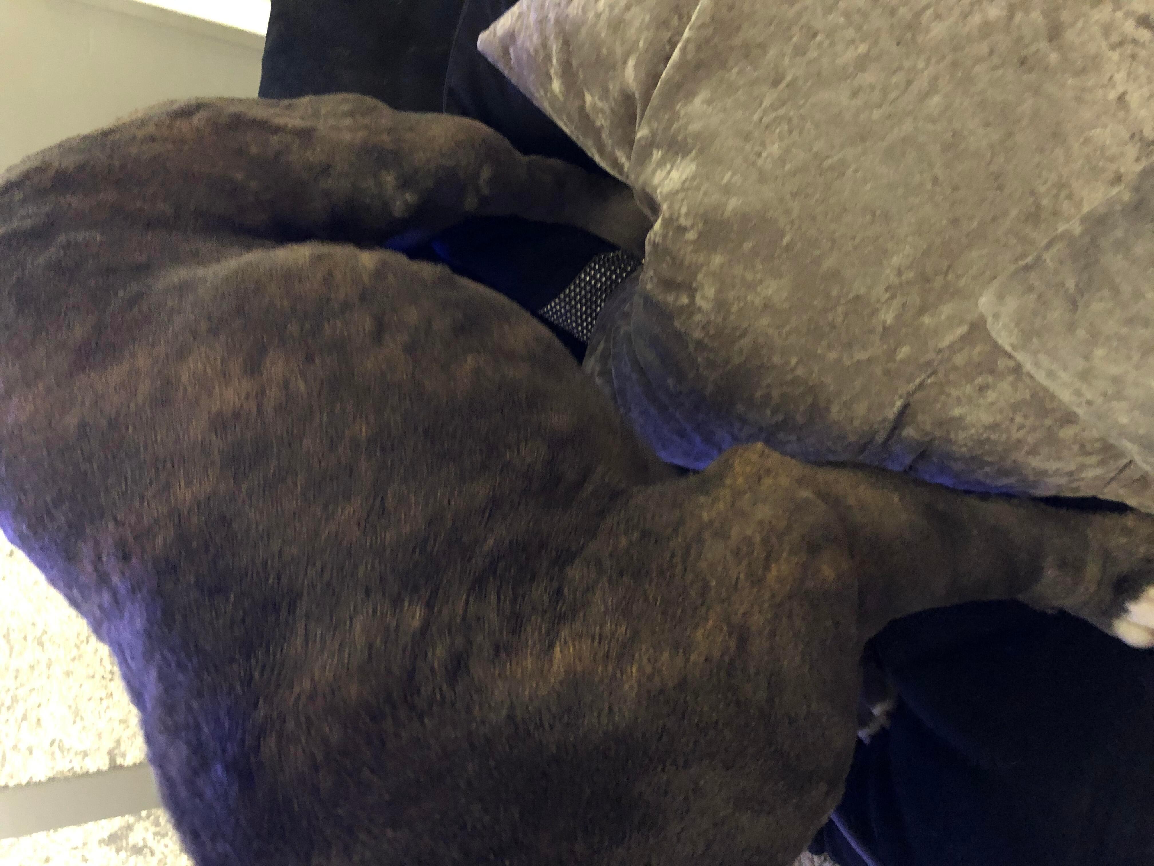 Question details sensitive content