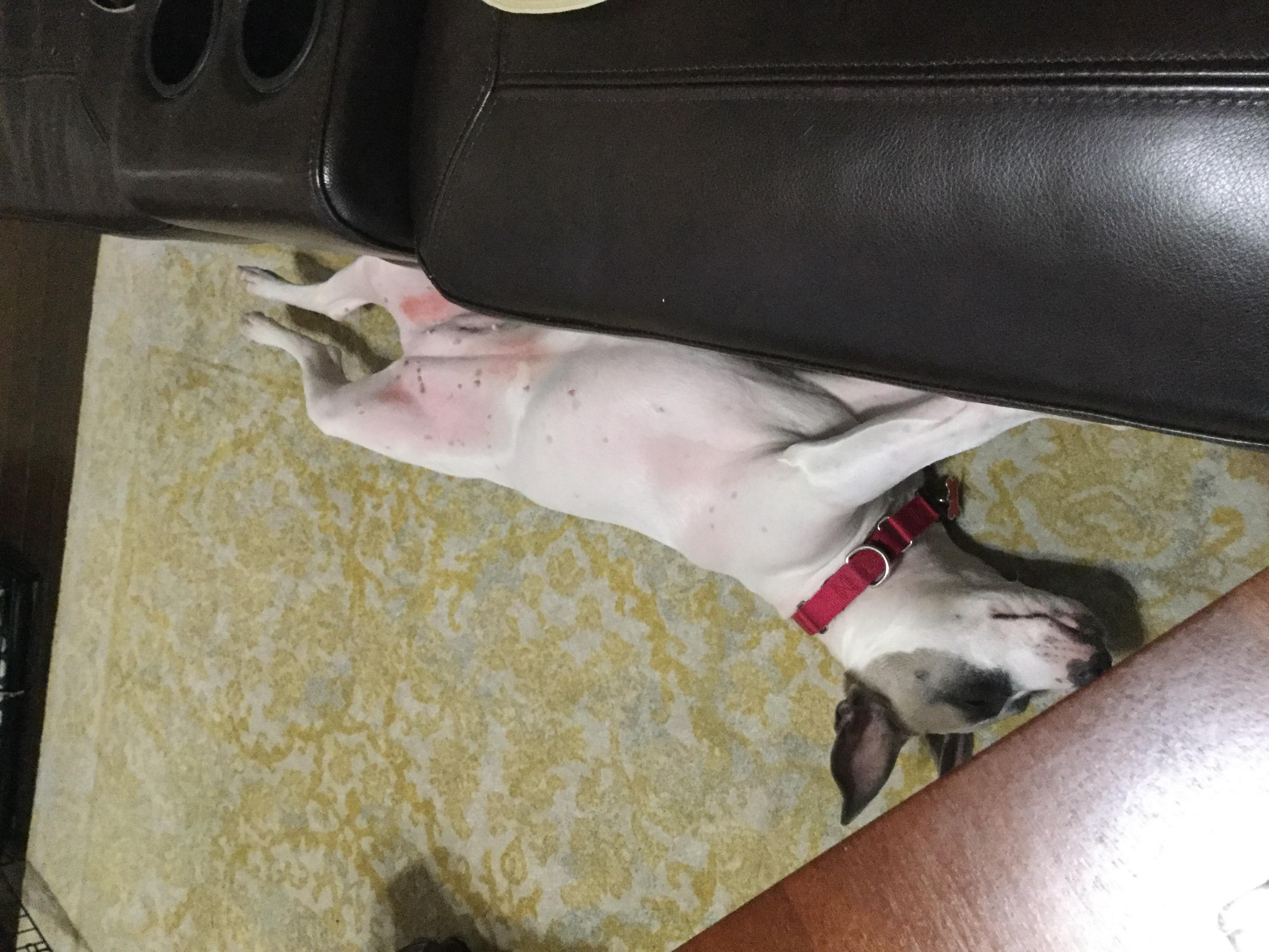 Question details sensitive content