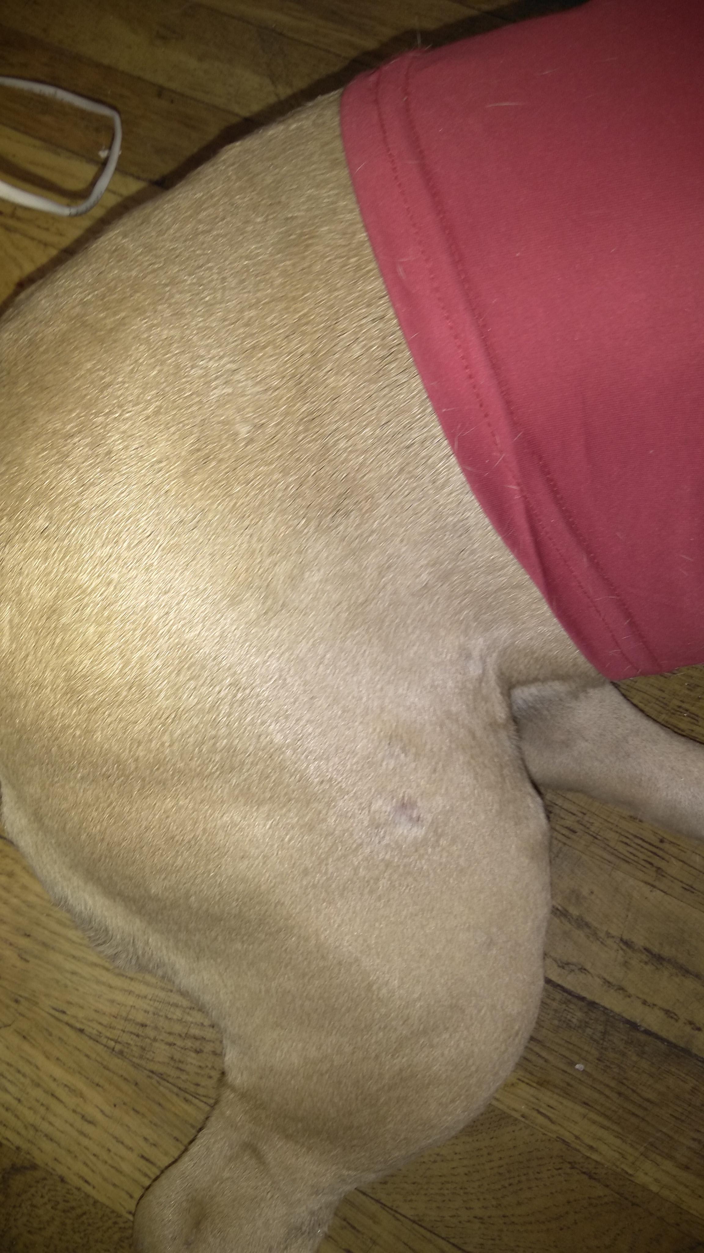 Question details sensitive content