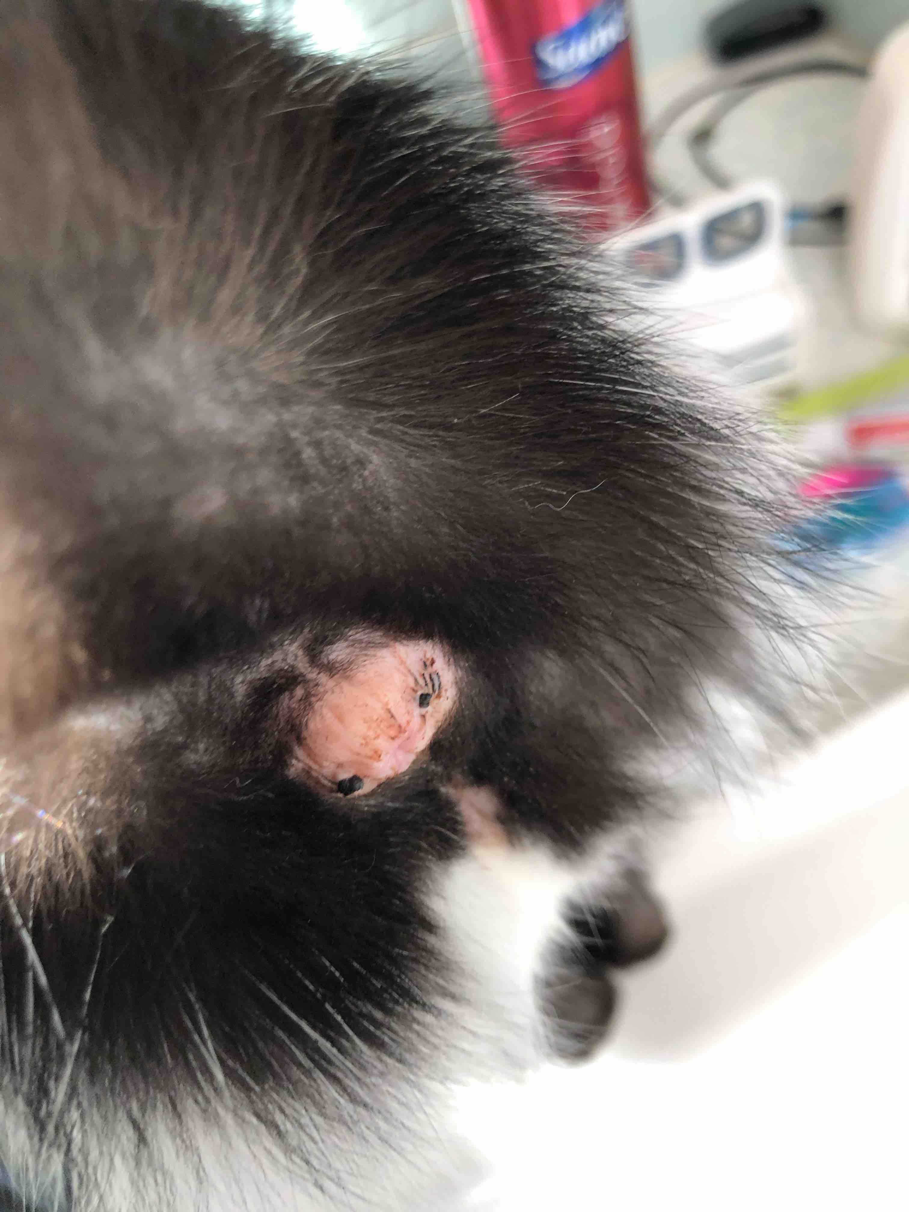 Question details sensitive content