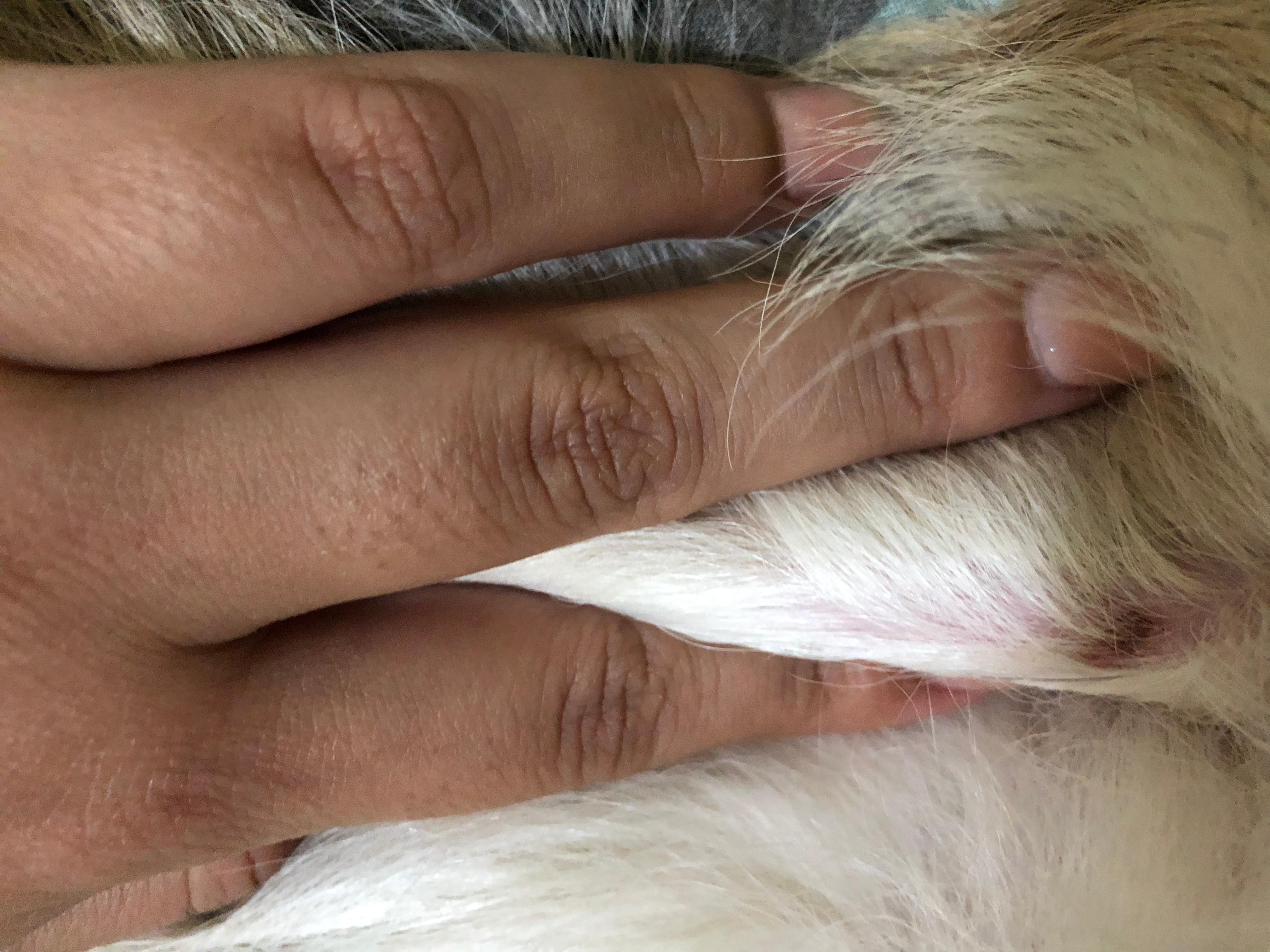 Question details sensitive content