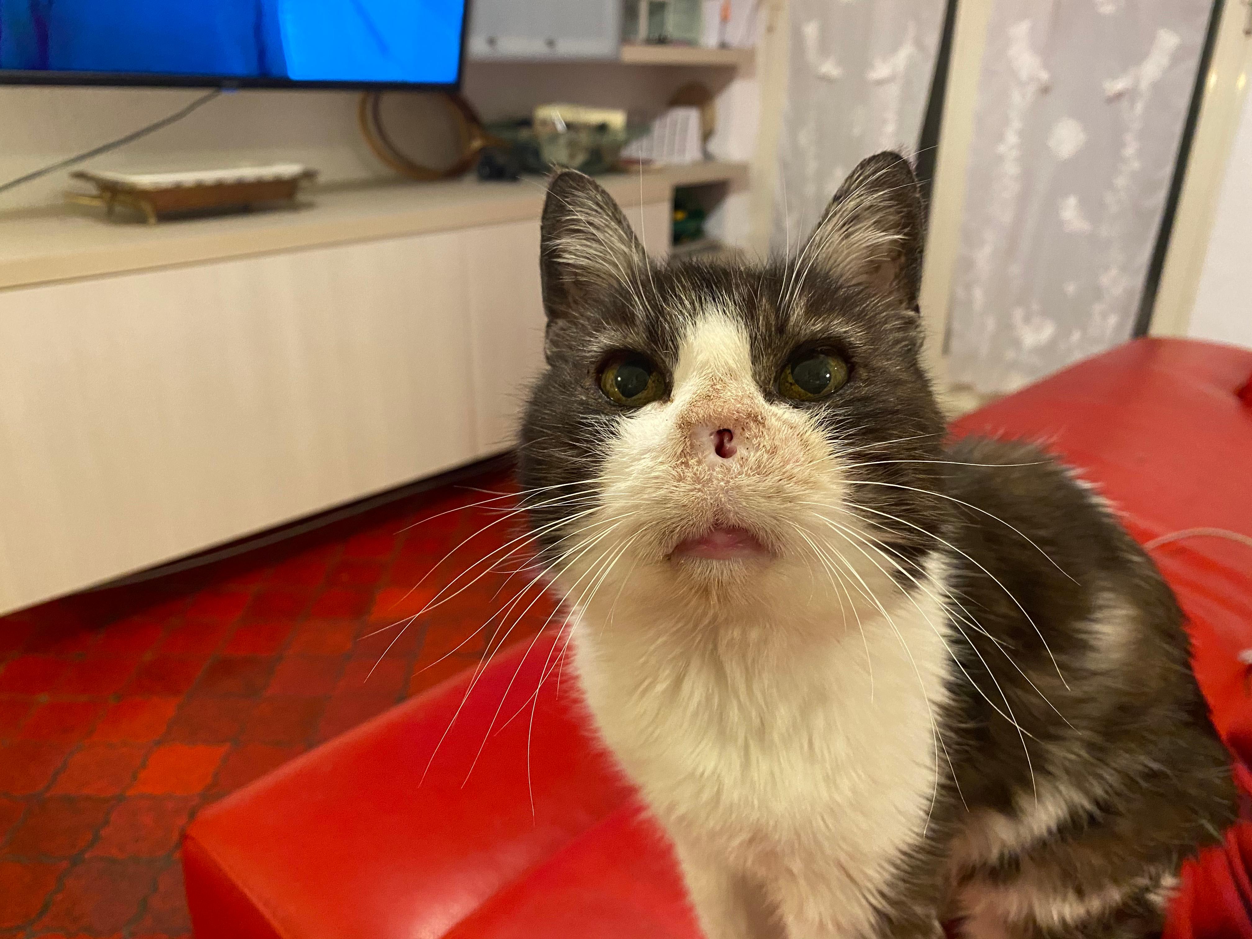 Question details sensitive content