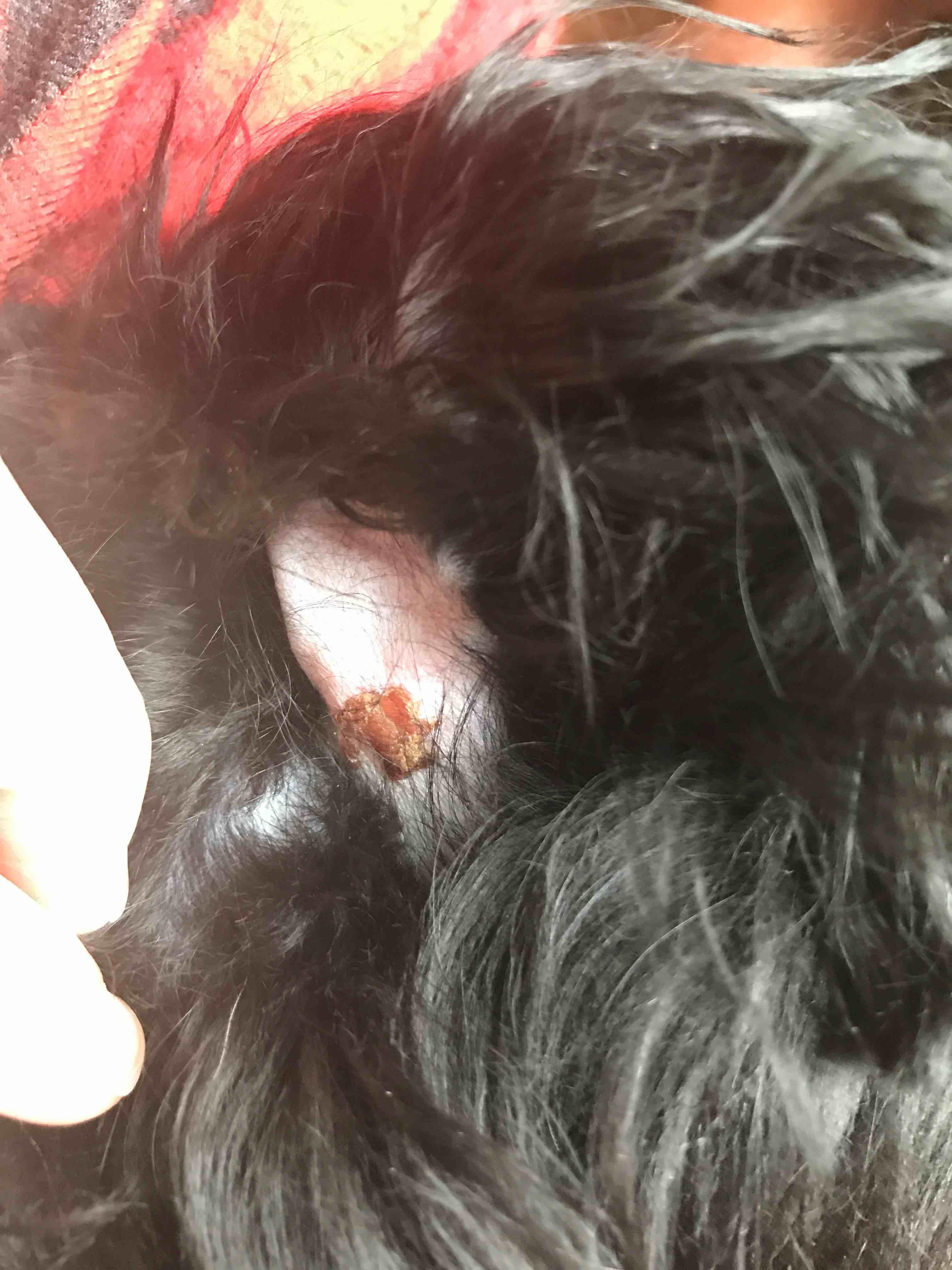 Question details sensitive content