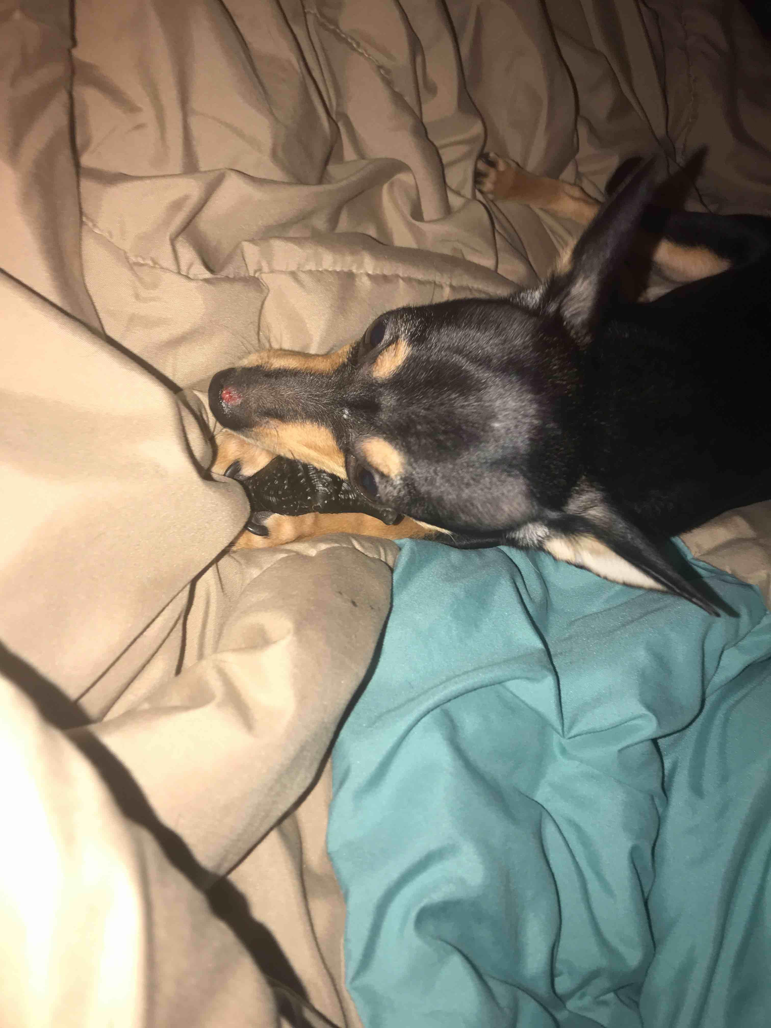 Question details sensitive content