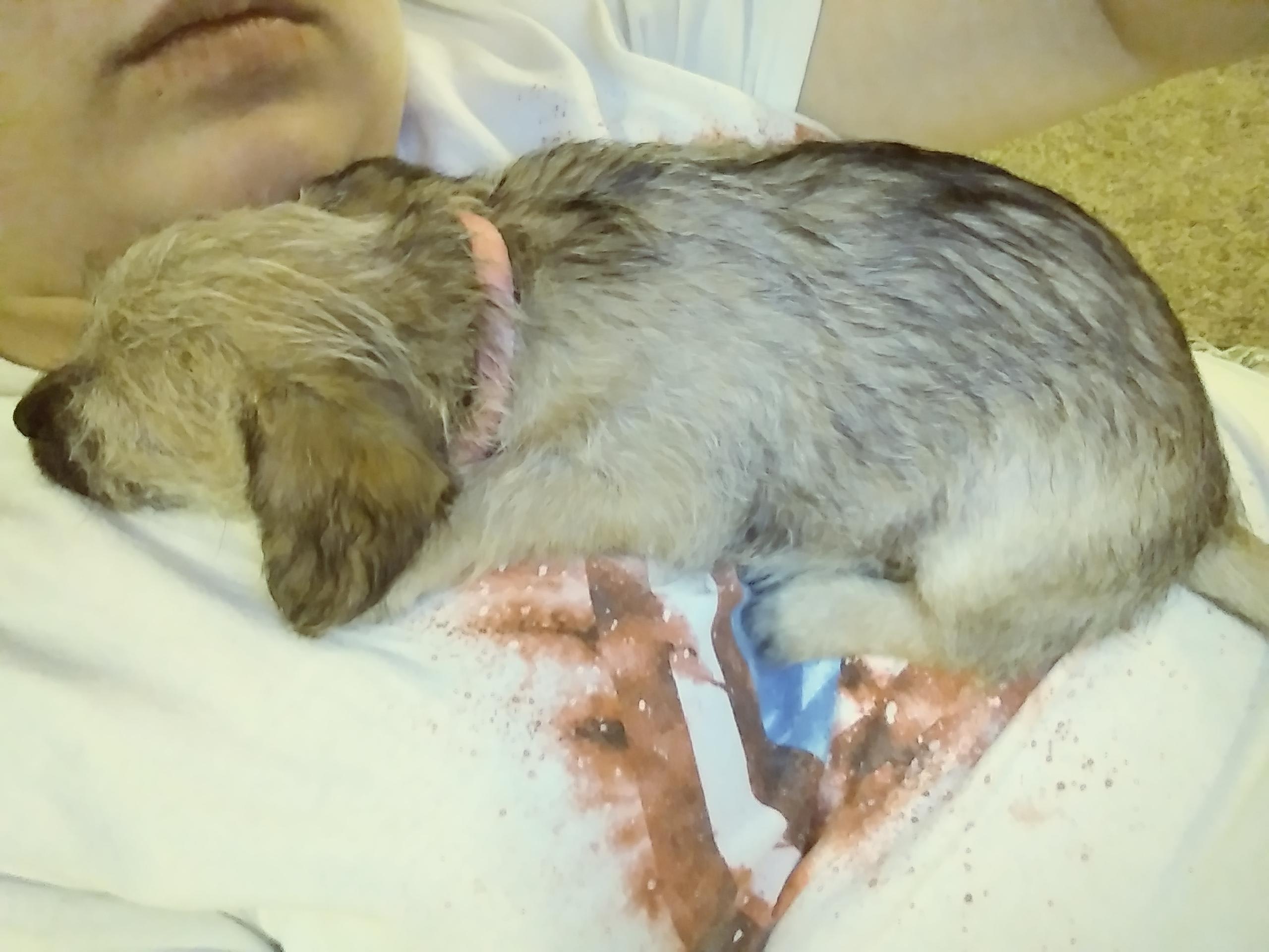 Question details sensitive content