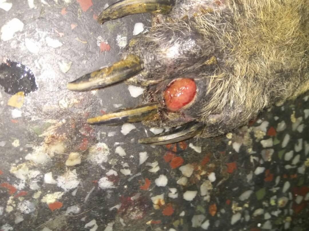 Question details sensitive content