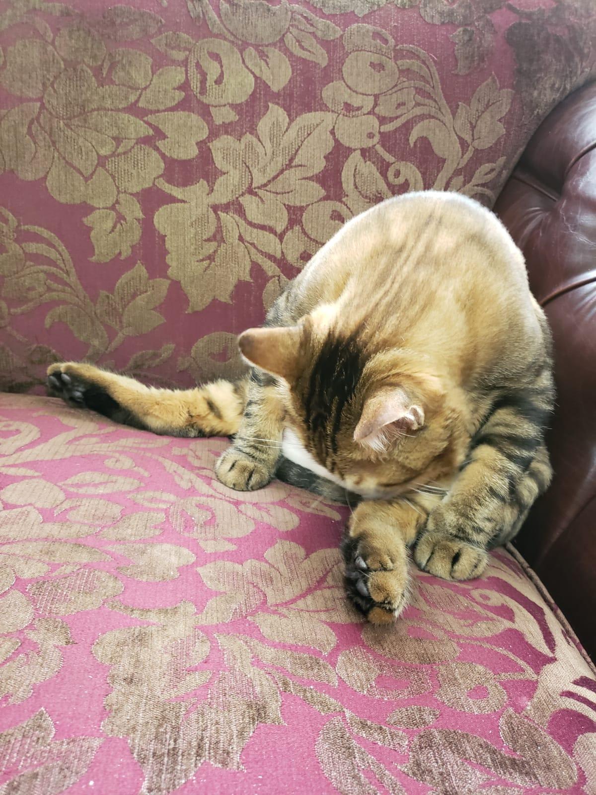 Question details sensitive content