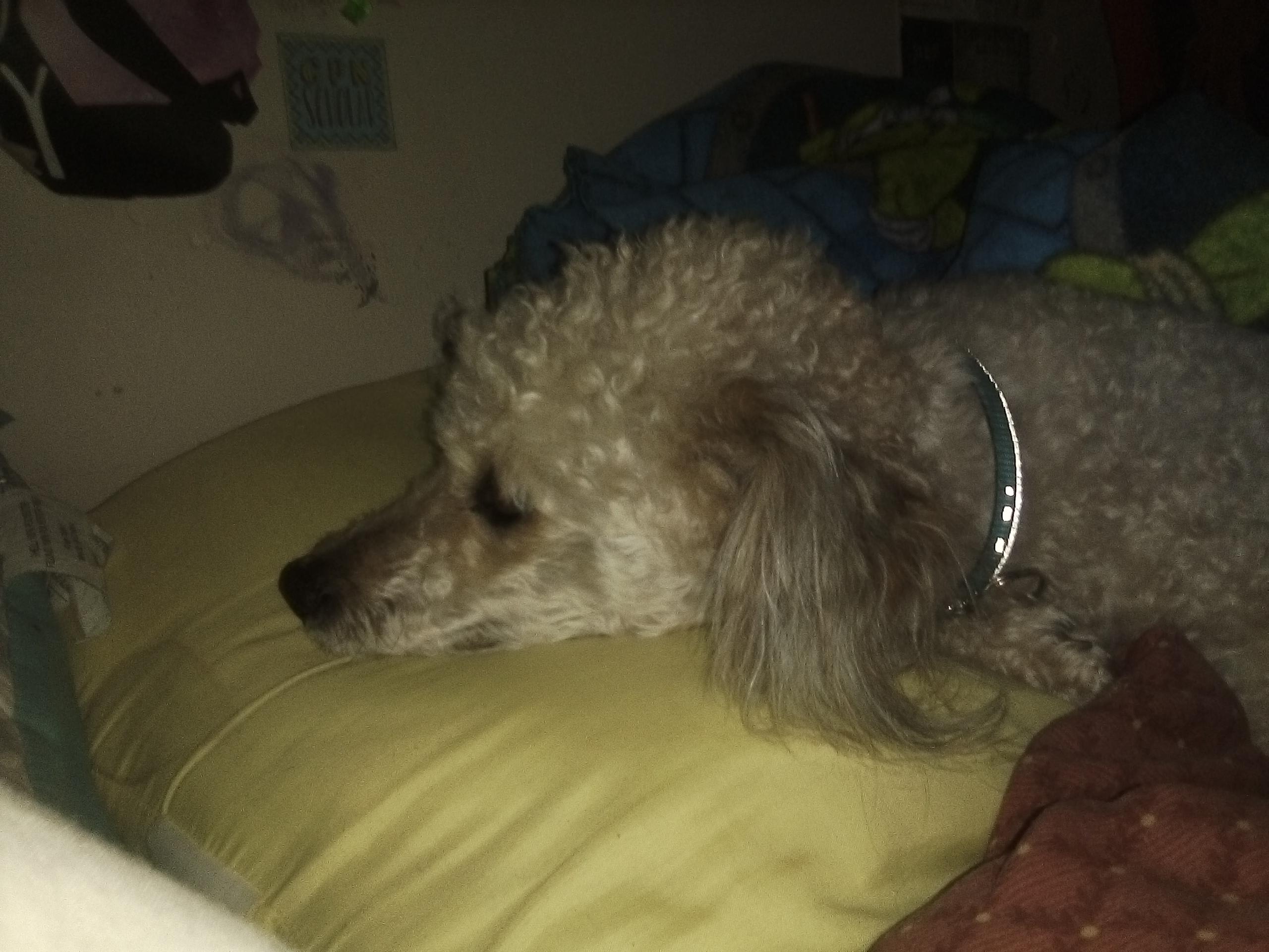 Question details sensitive content