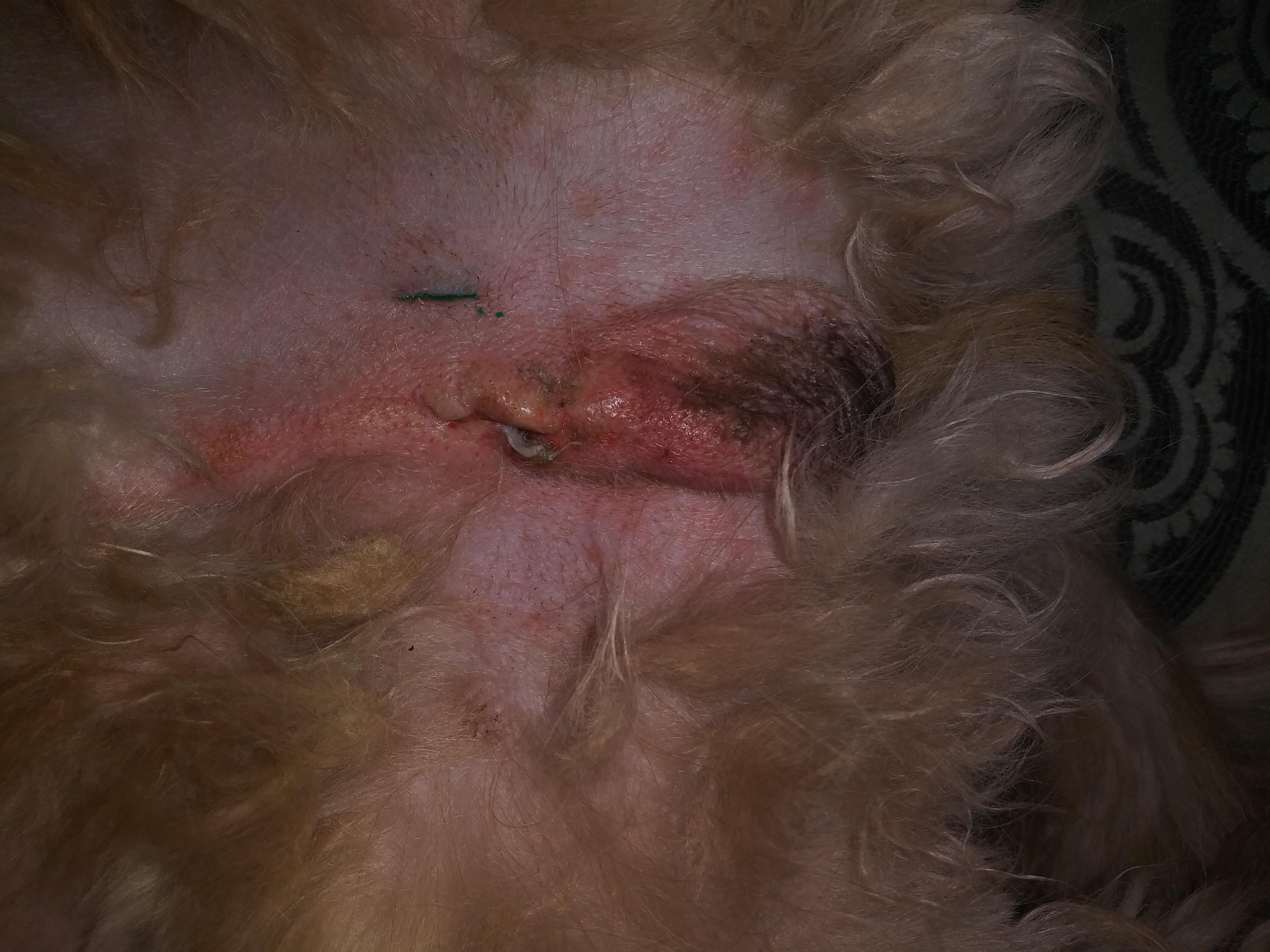 Question details sensitive content