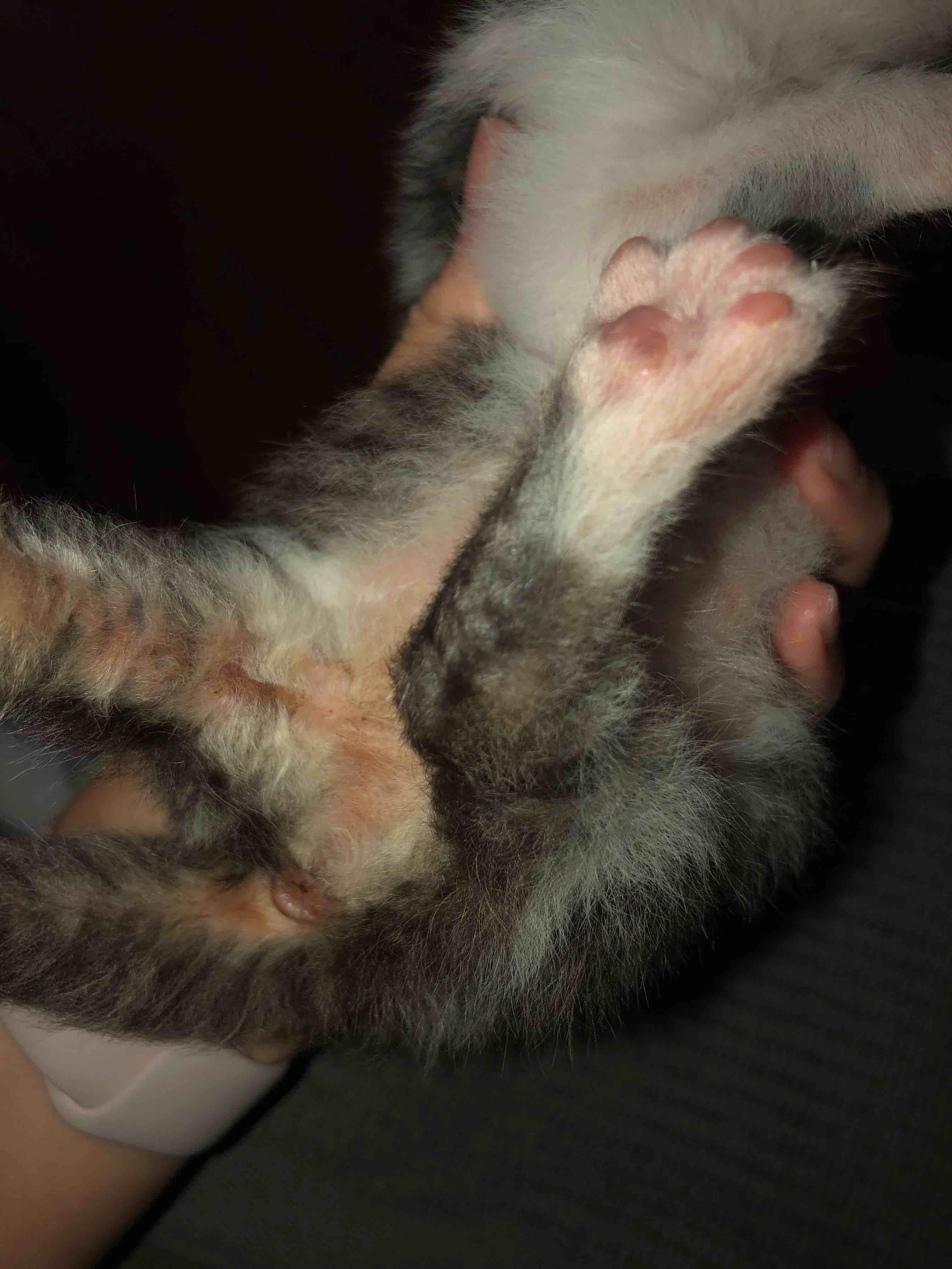 Question details sensitive content