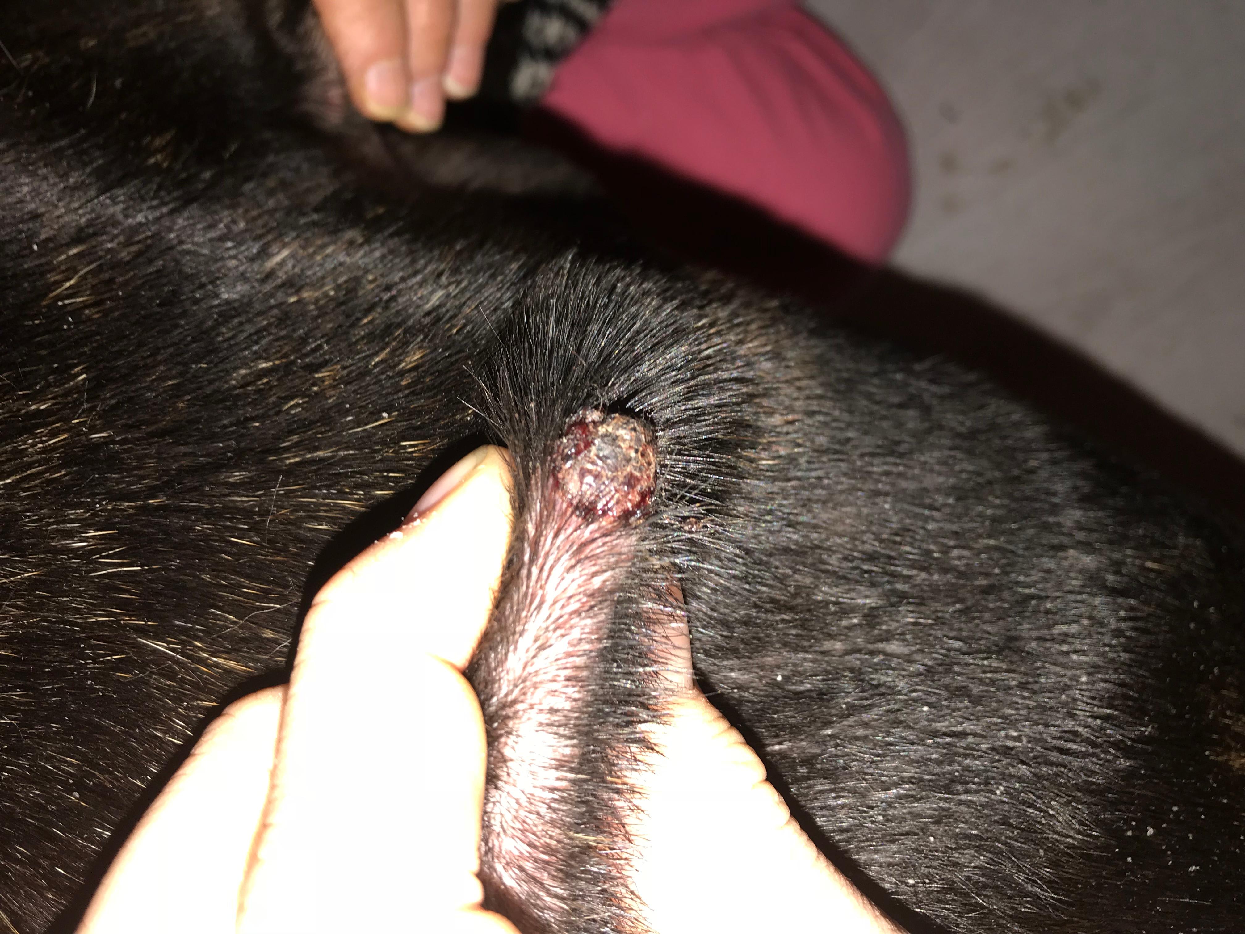 Question details sensitive content