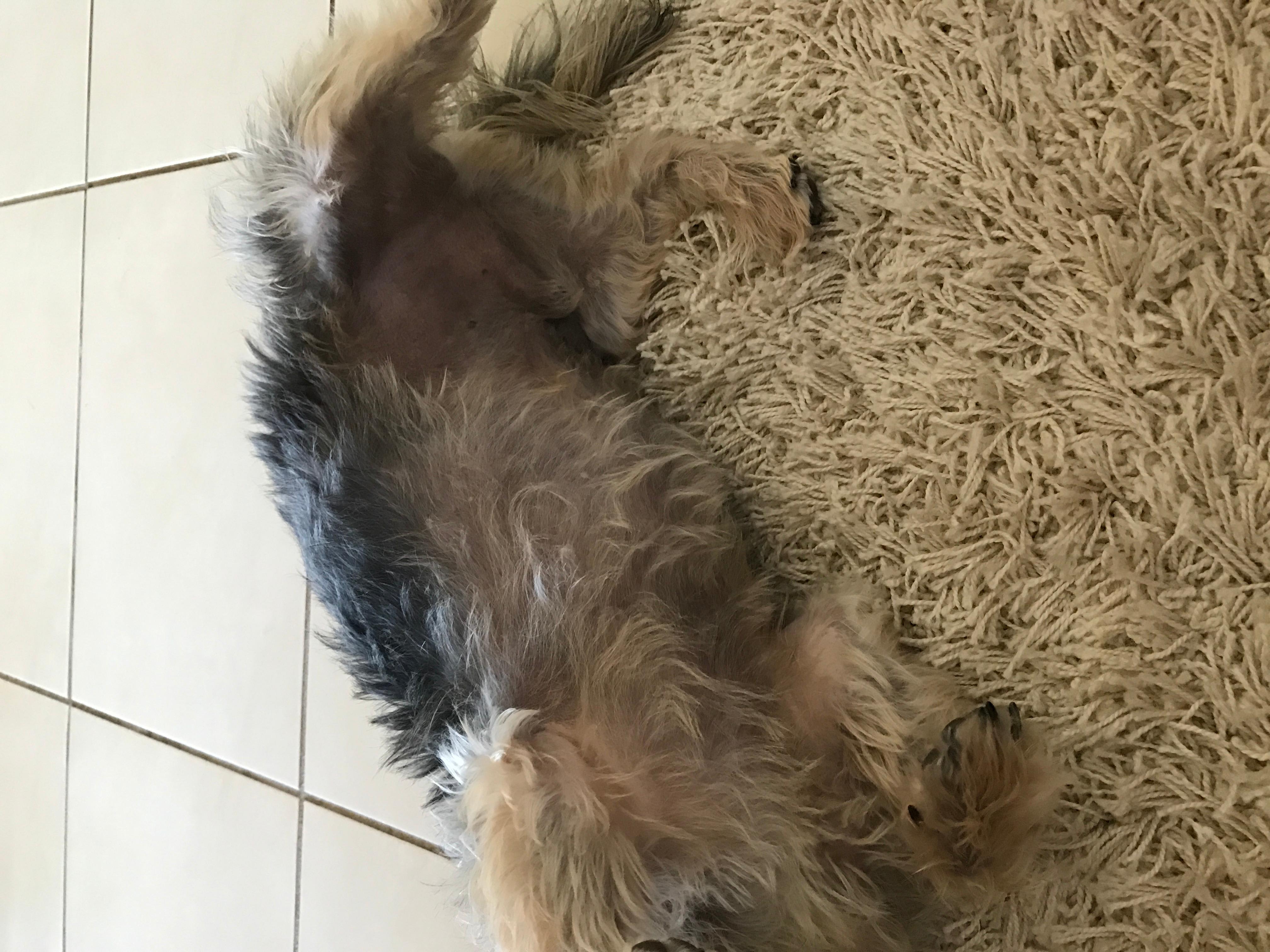 Question details sensitive content