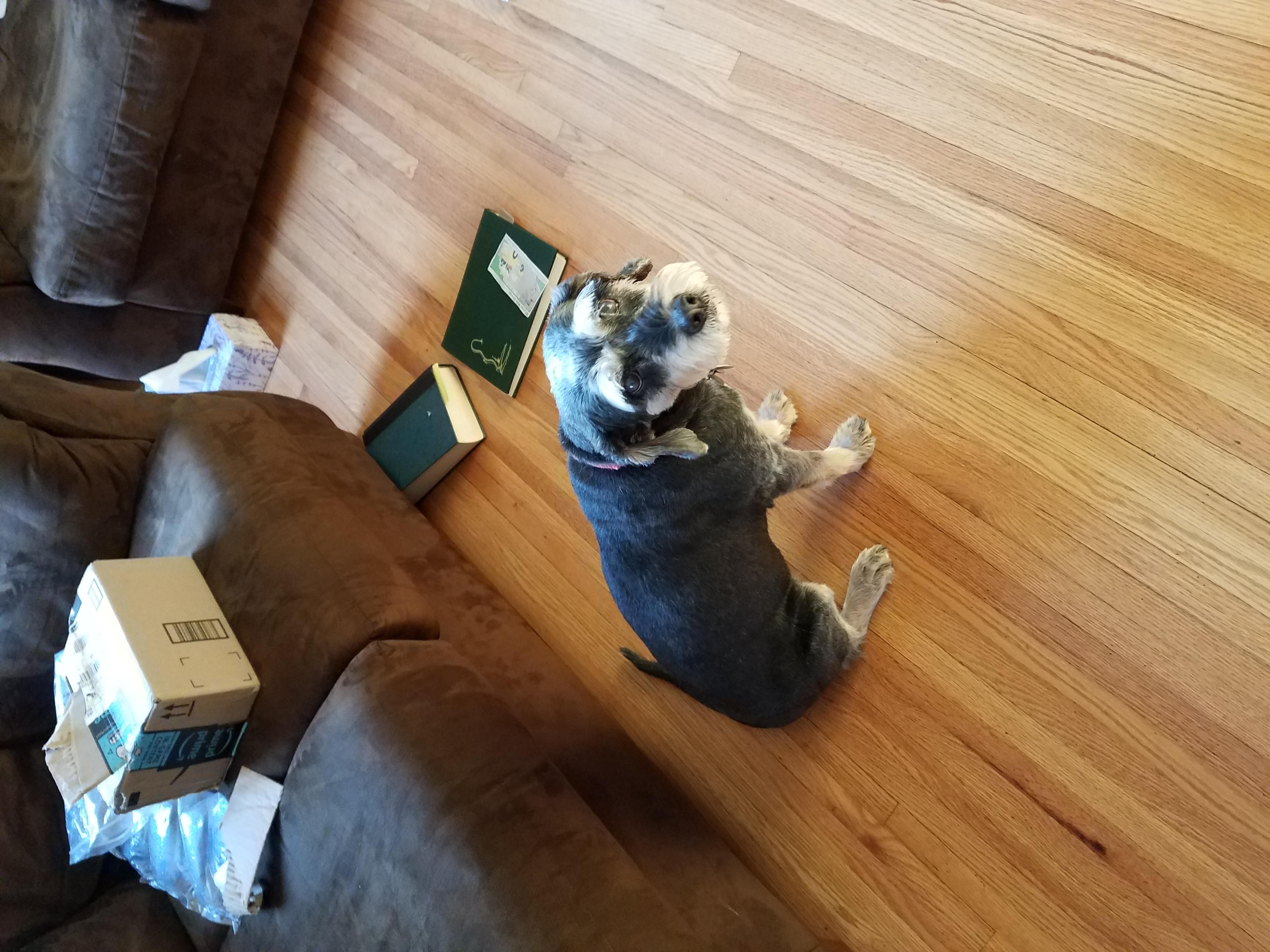 Question details sensitive content