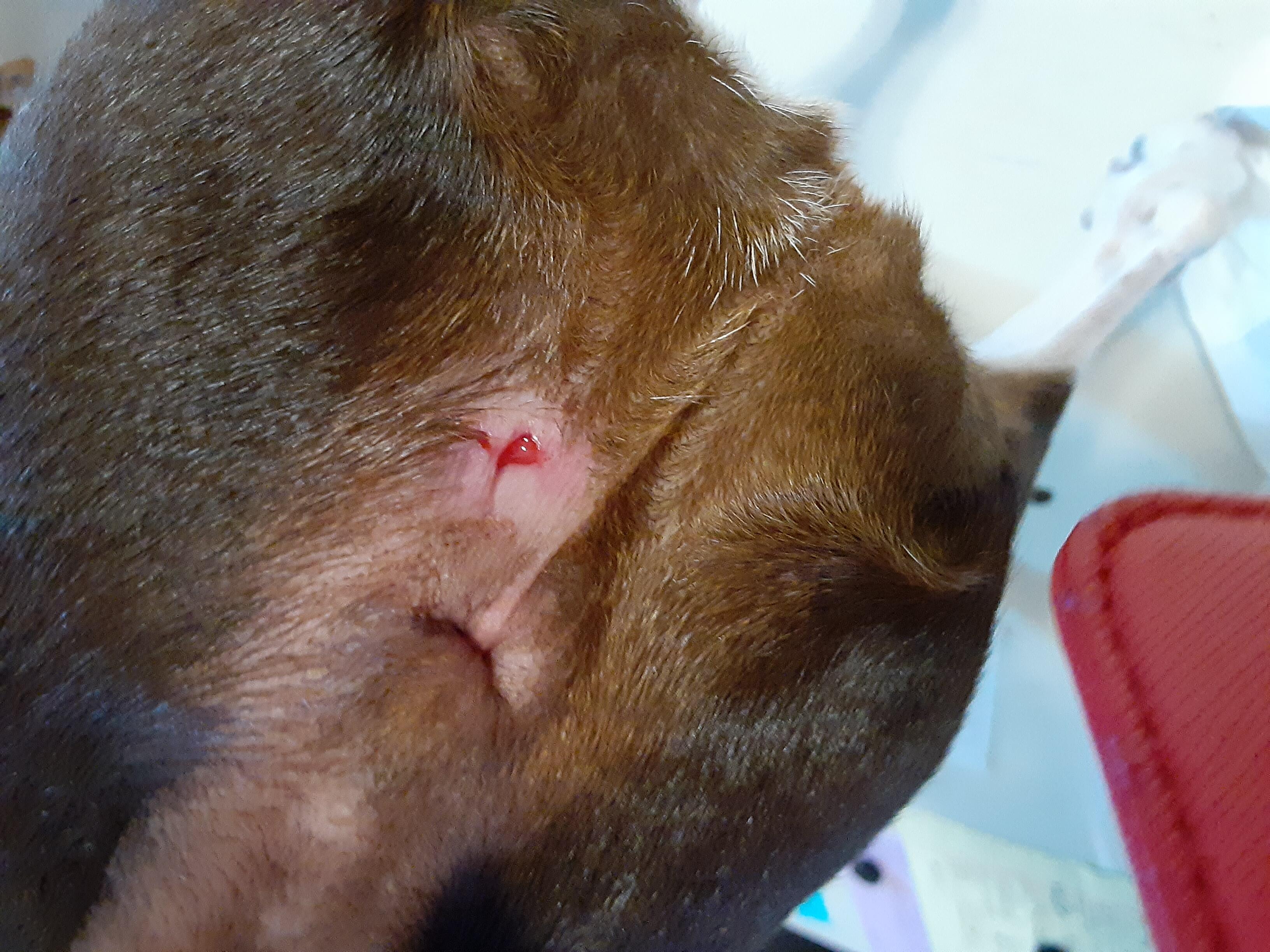 Question details sensitive content