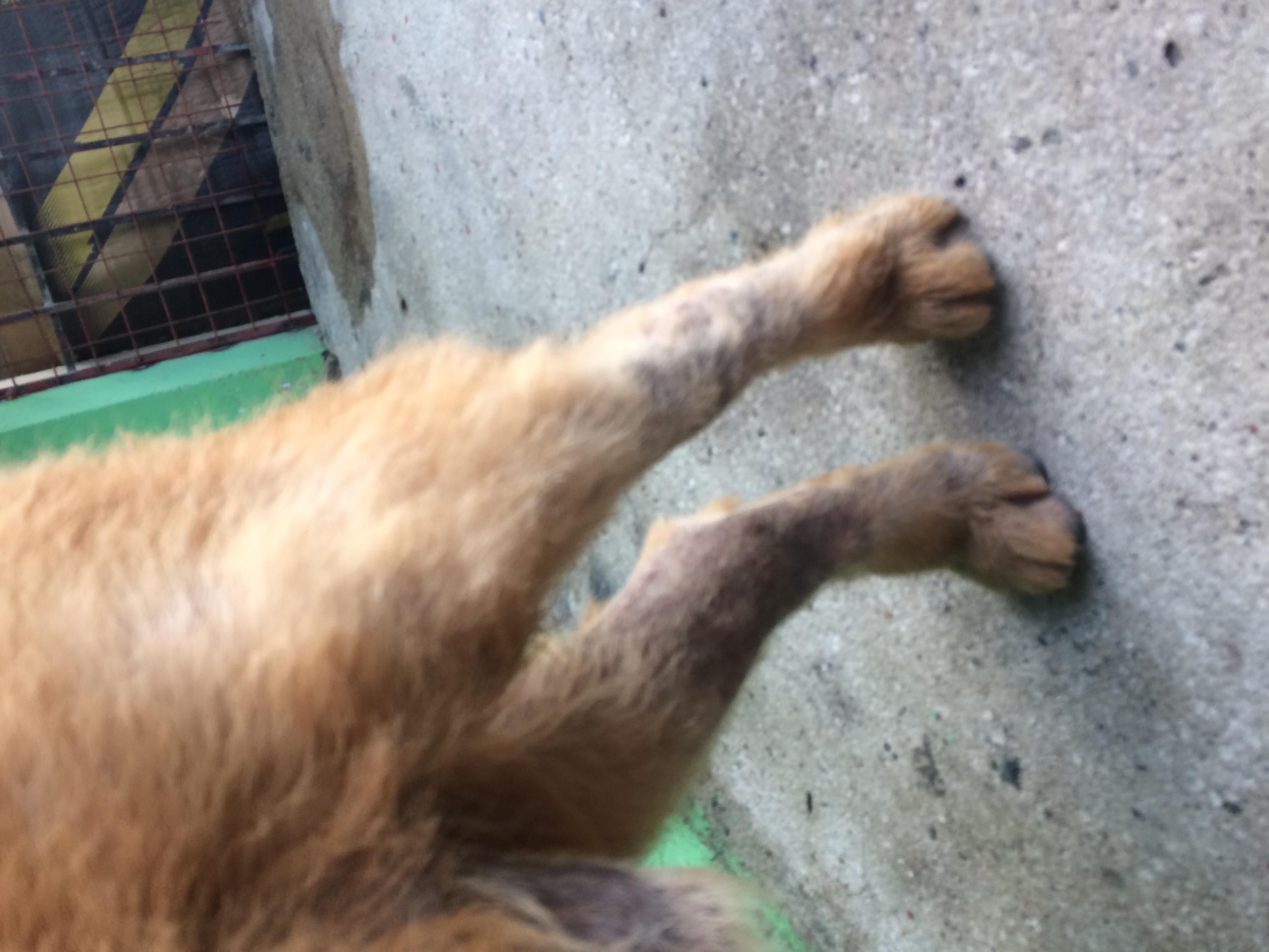 Question details sensitive content