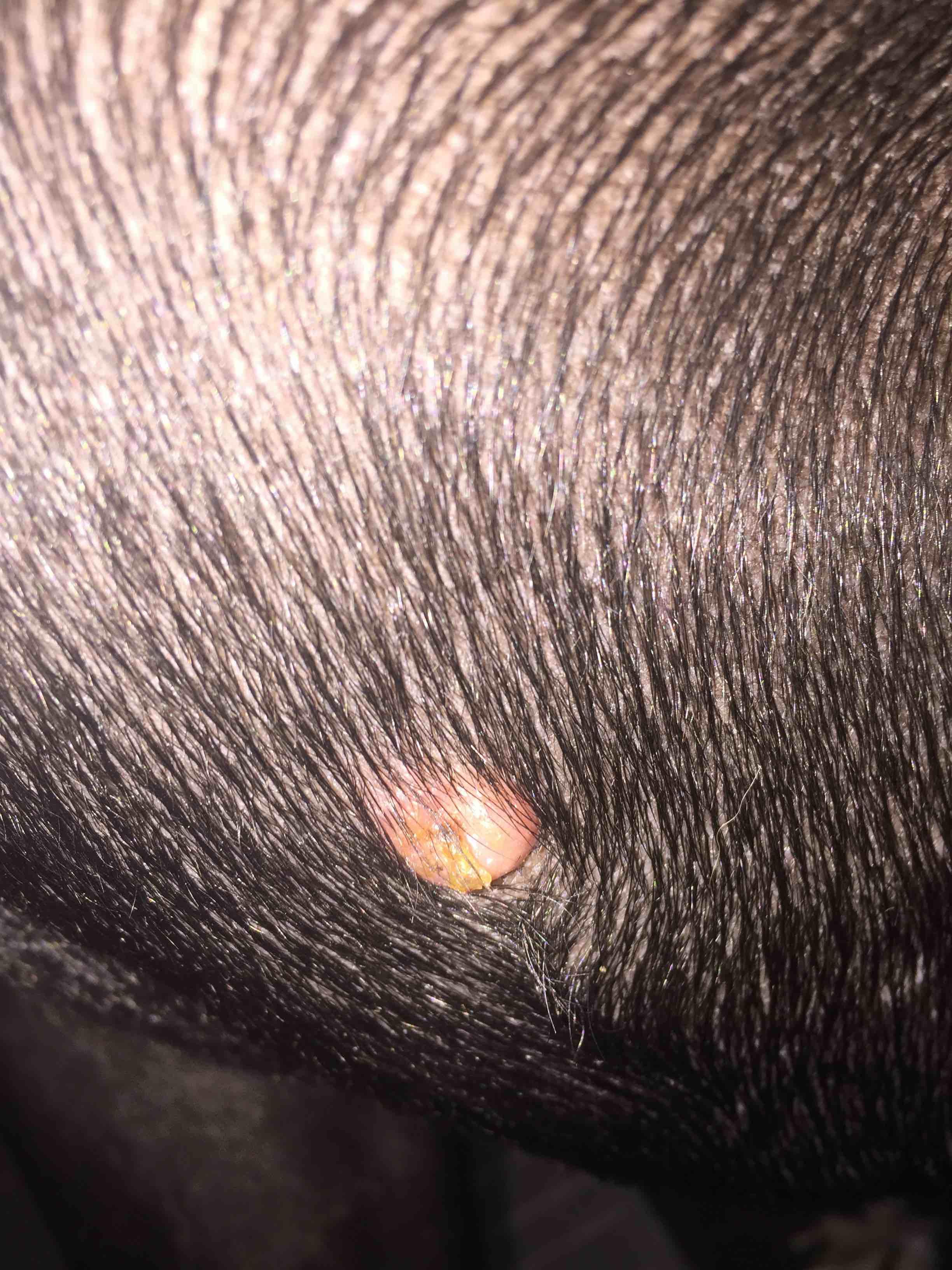 Question details sensitive content