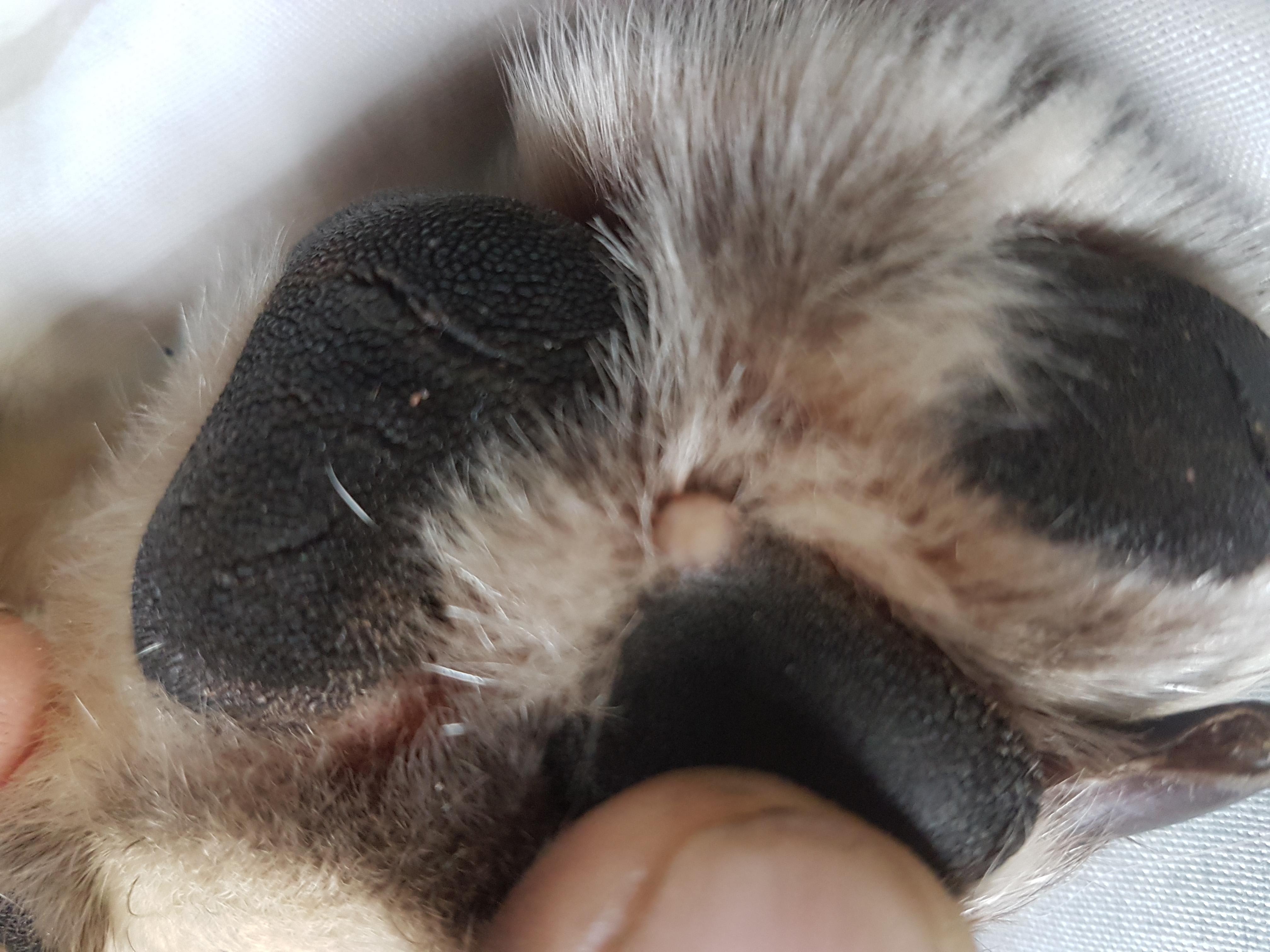 Question details sensitive content