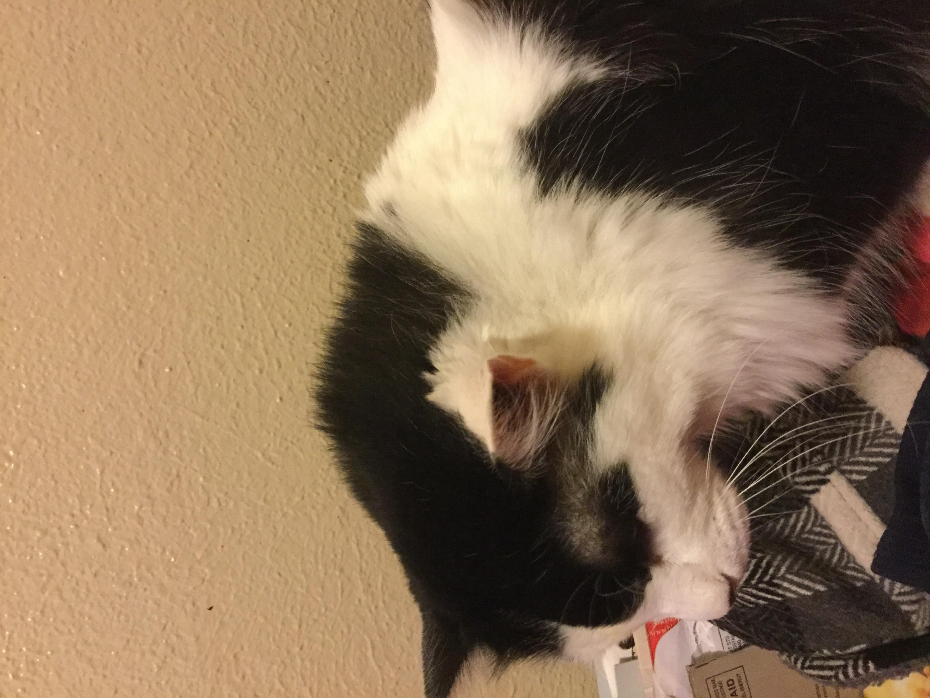 Question details sensitive content