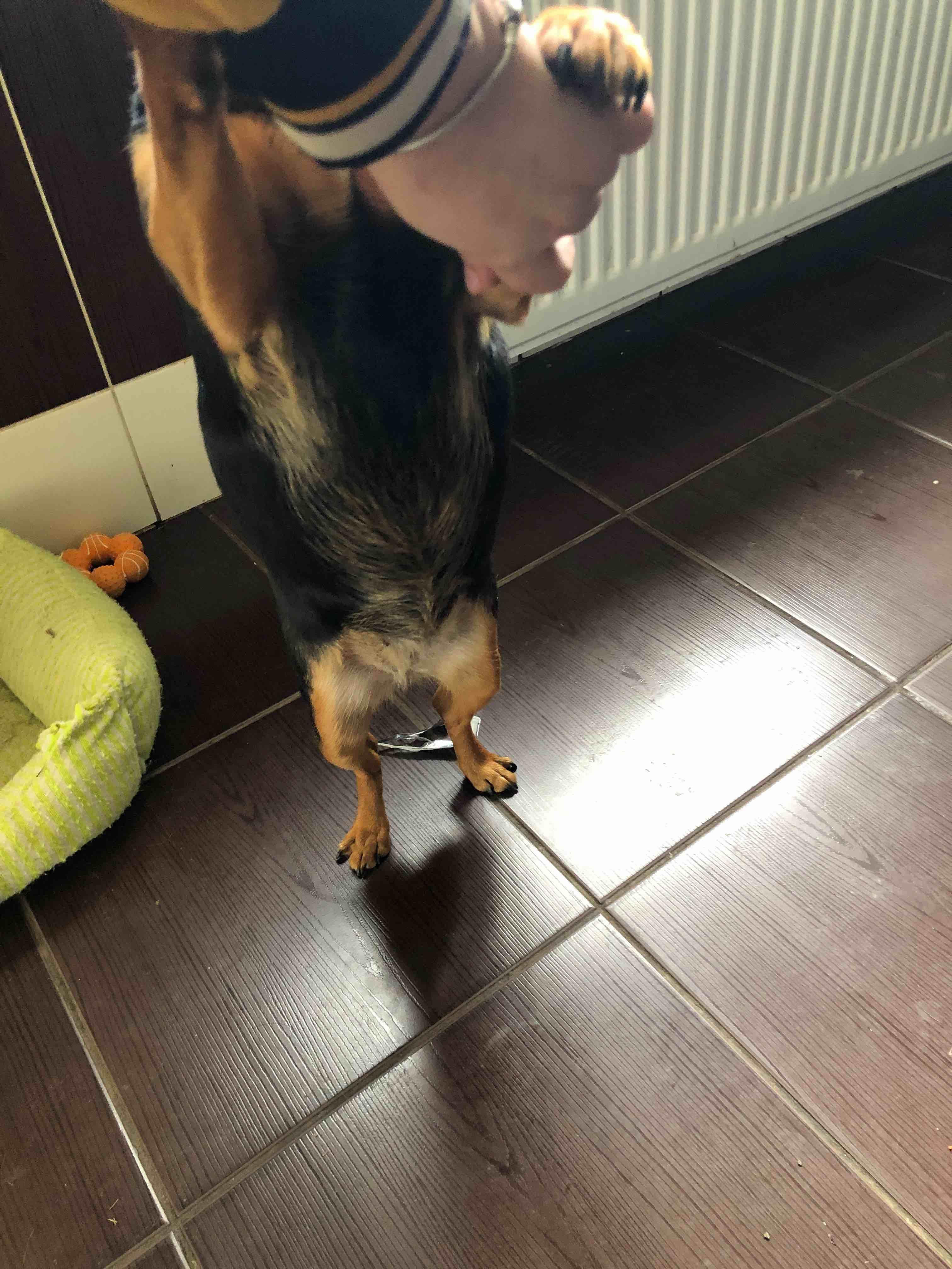 Question details sensitive content