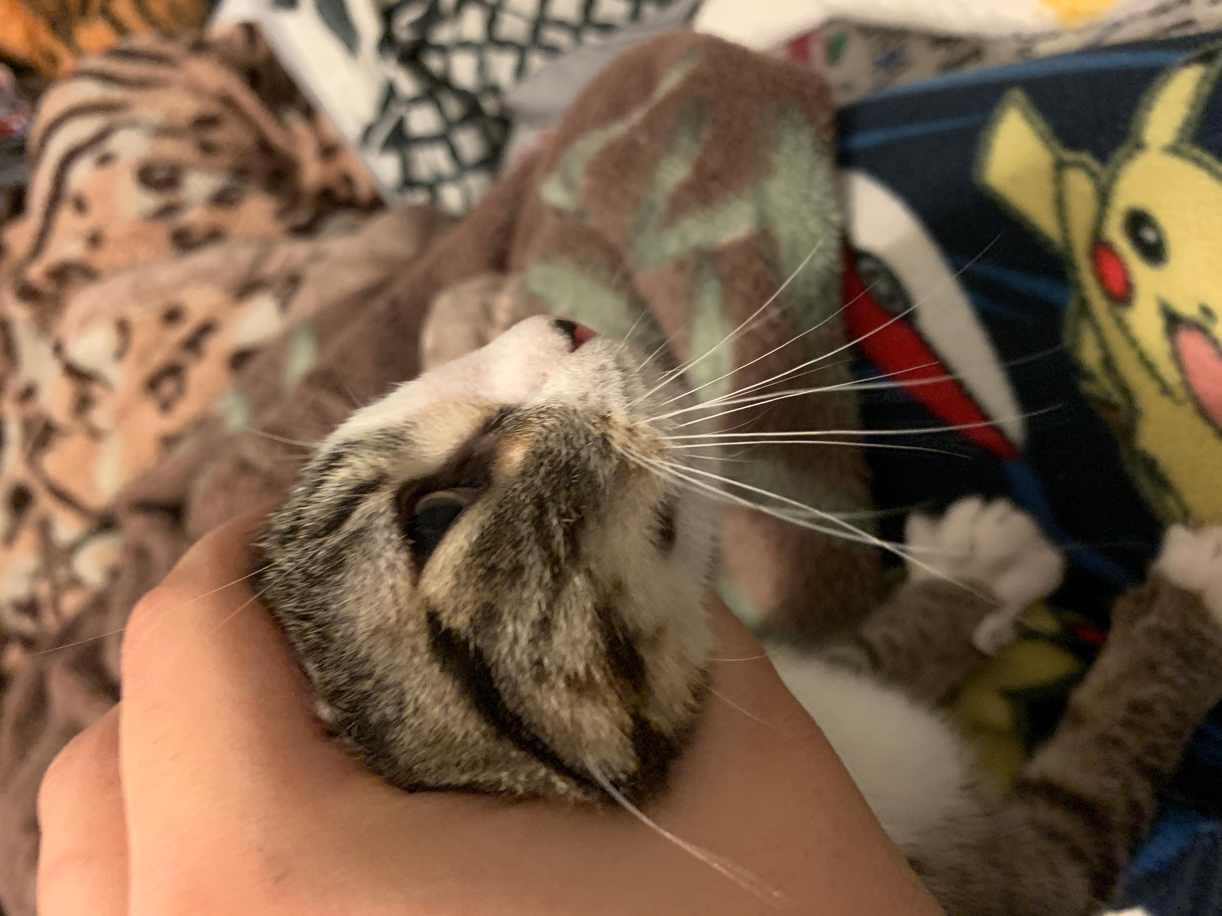 Question details sensitive content