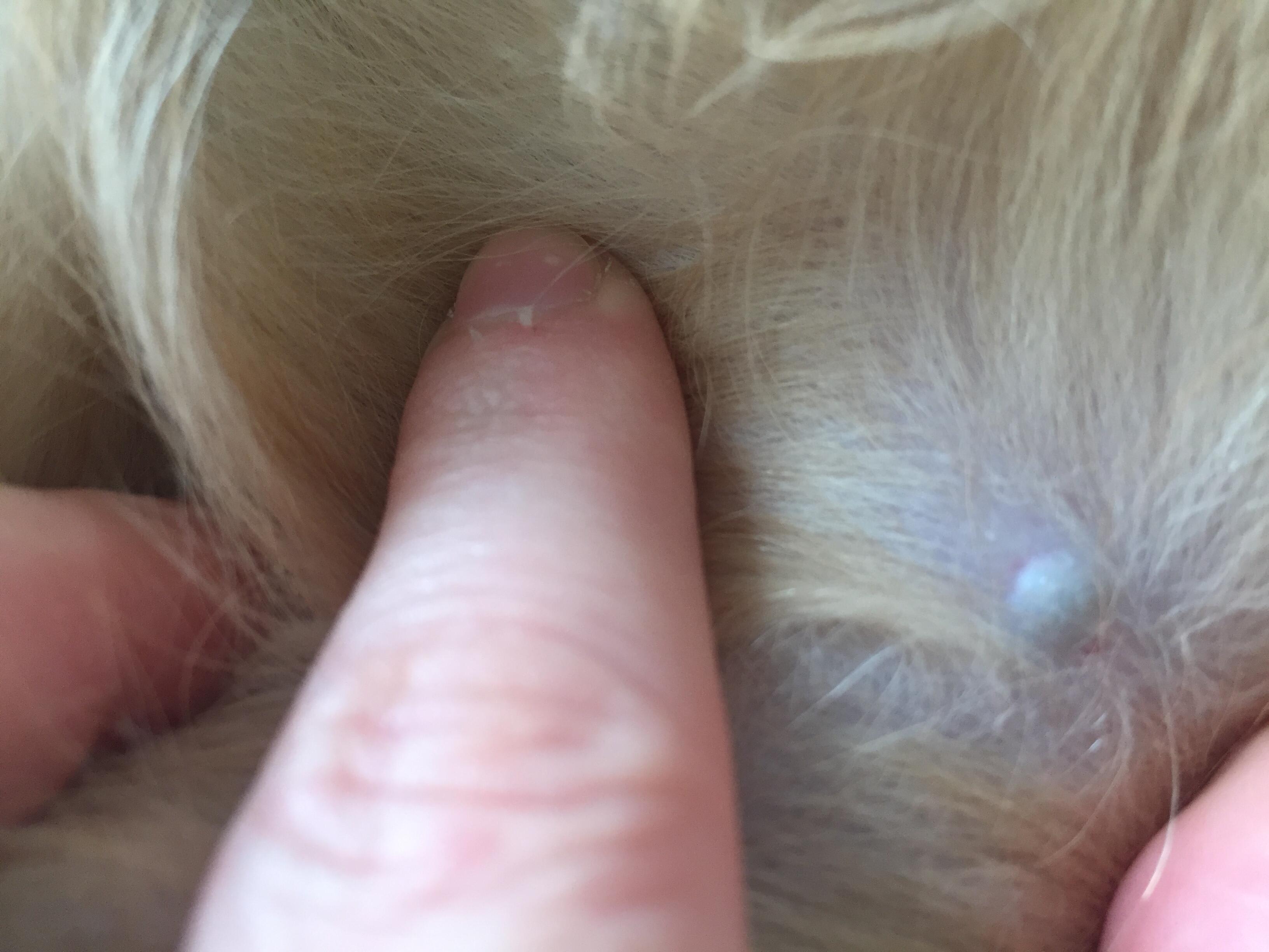 Question details sensitive content