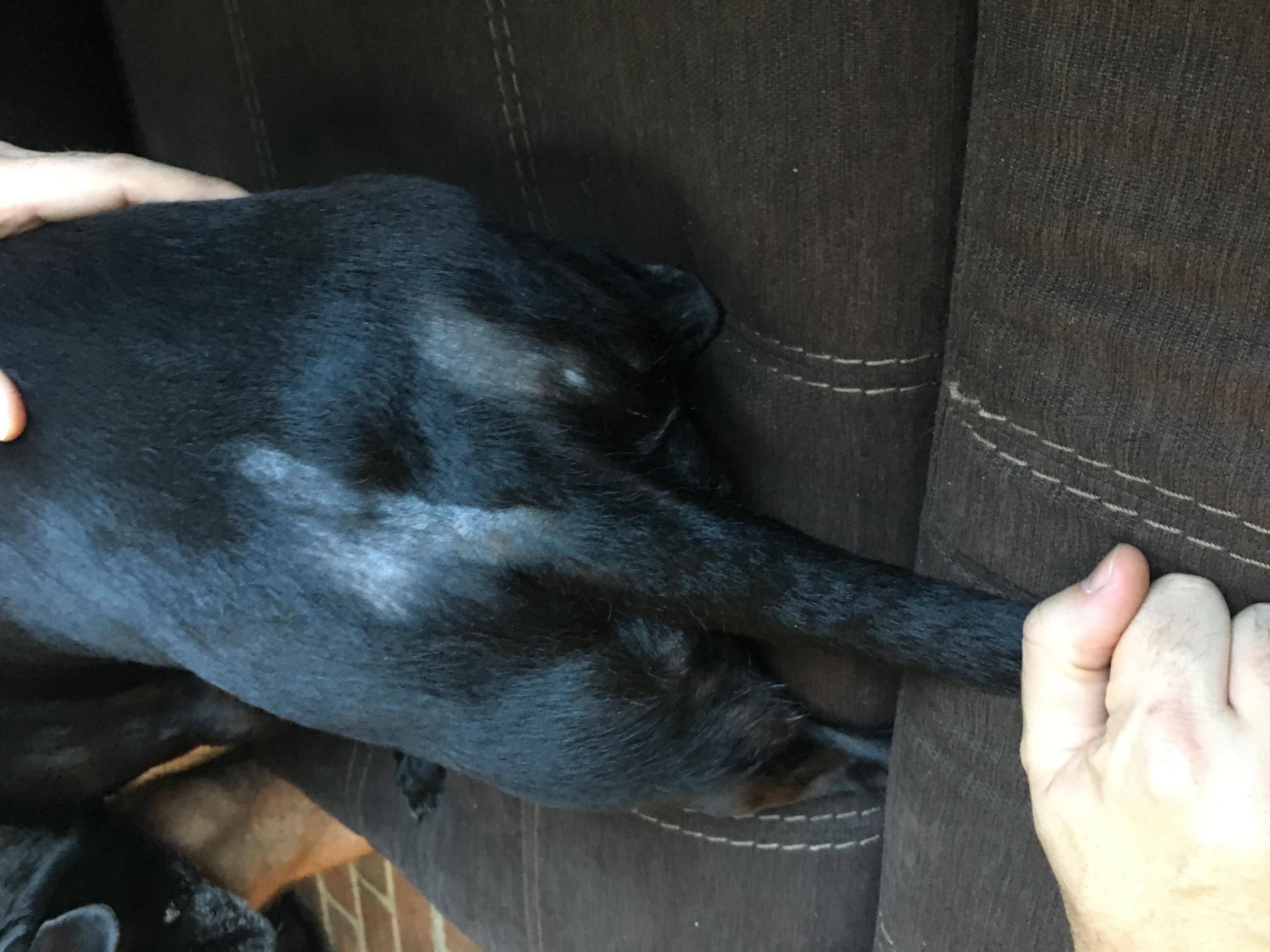 Question details sensitive content