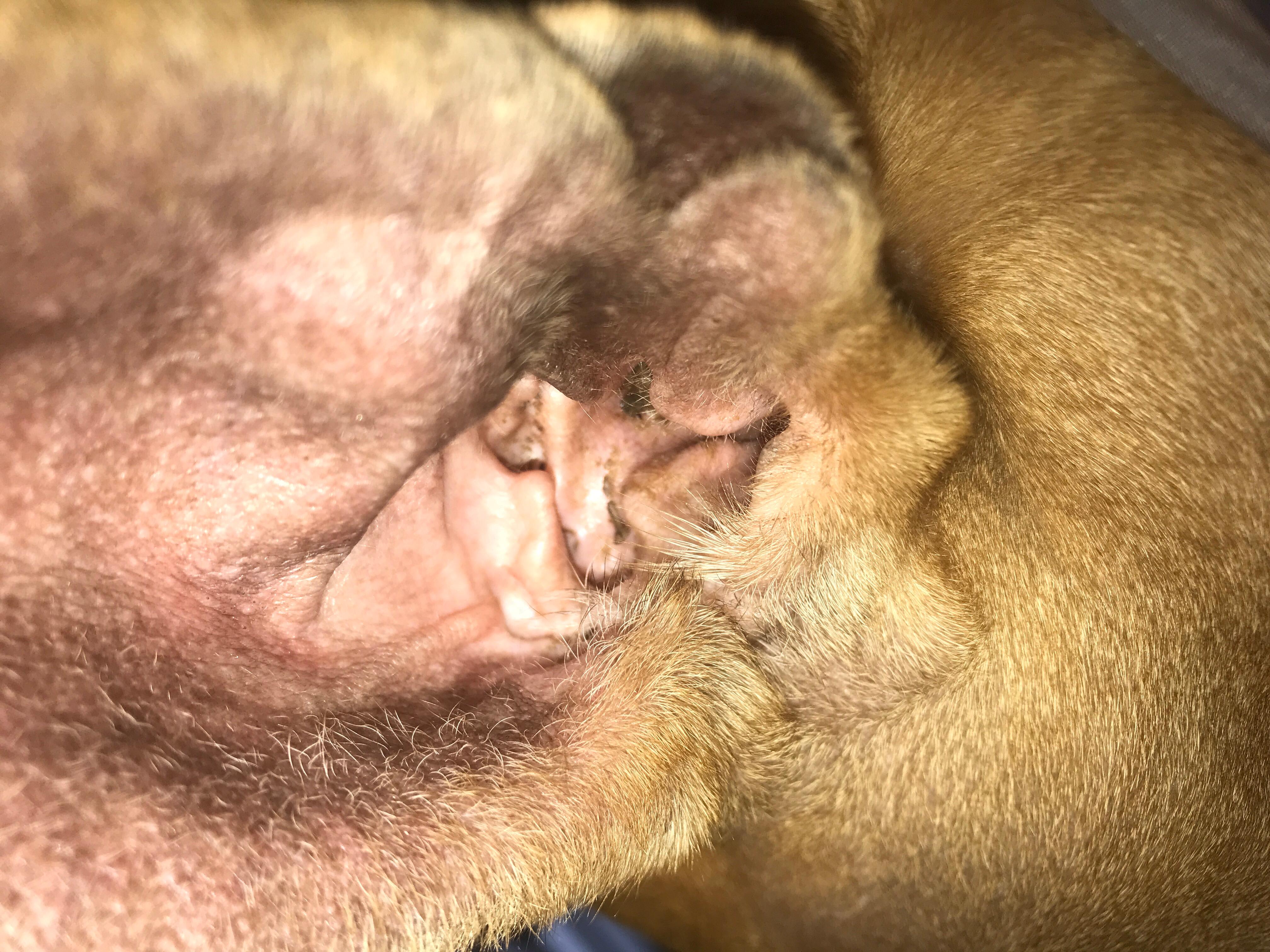 Question details sensitive content