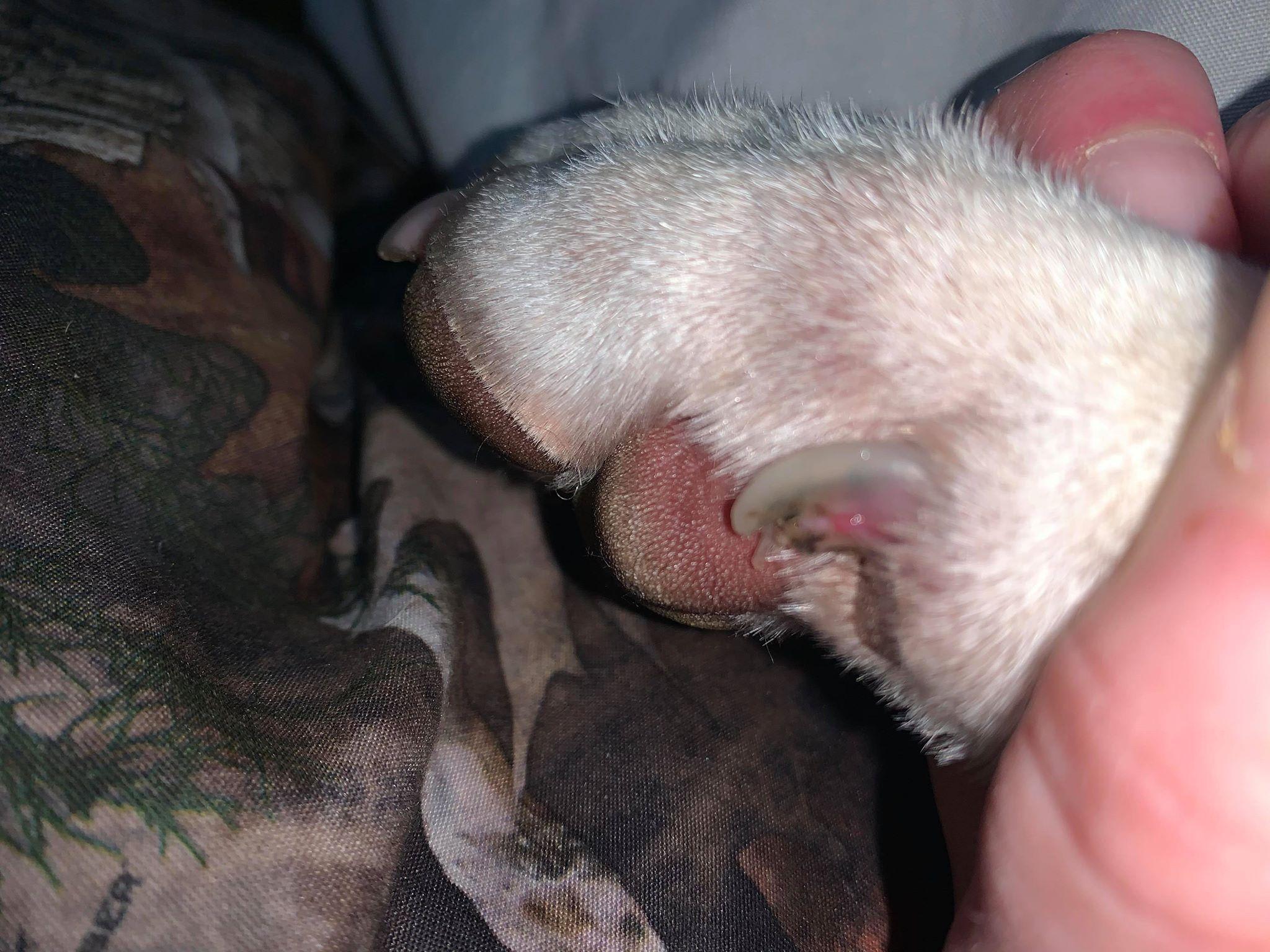 Question details sensitive content