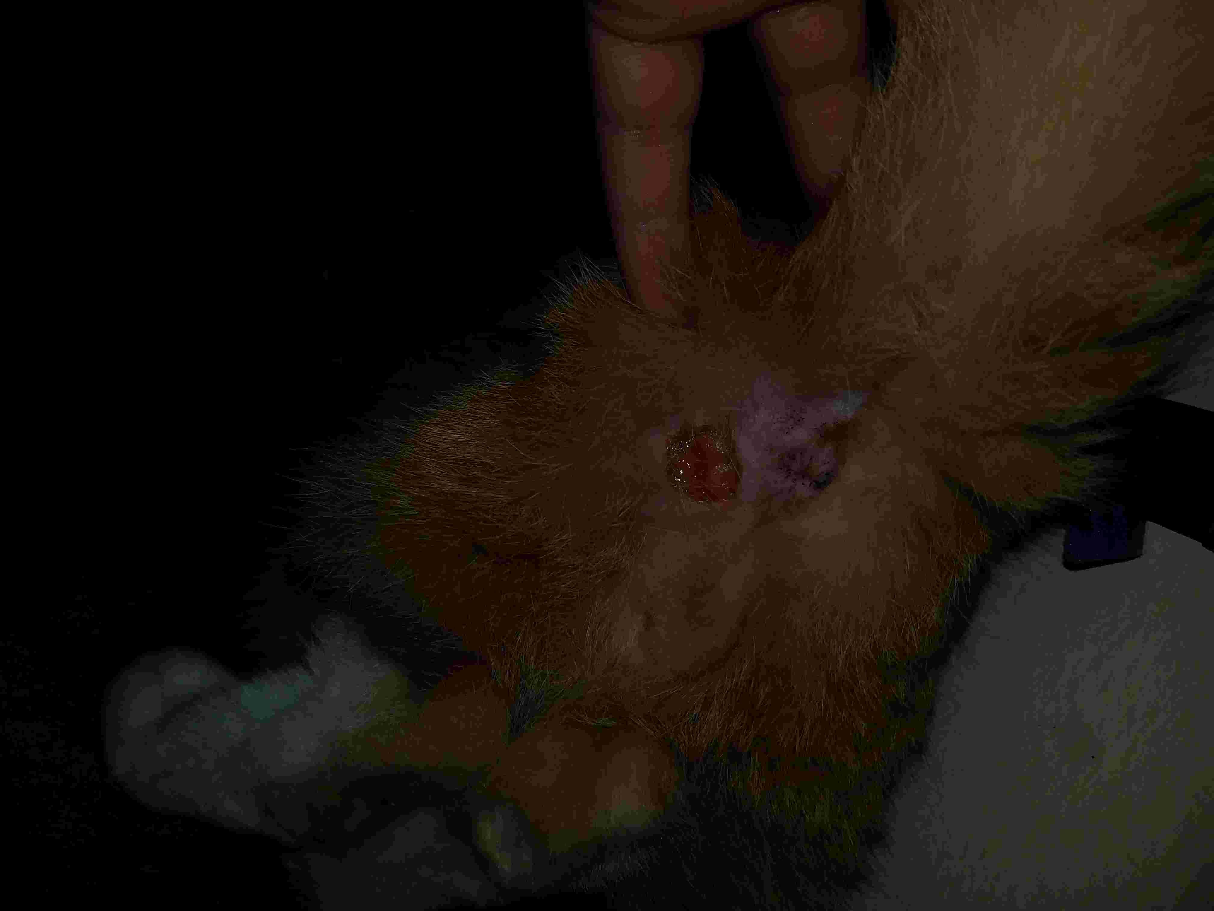 Question details sensitive content