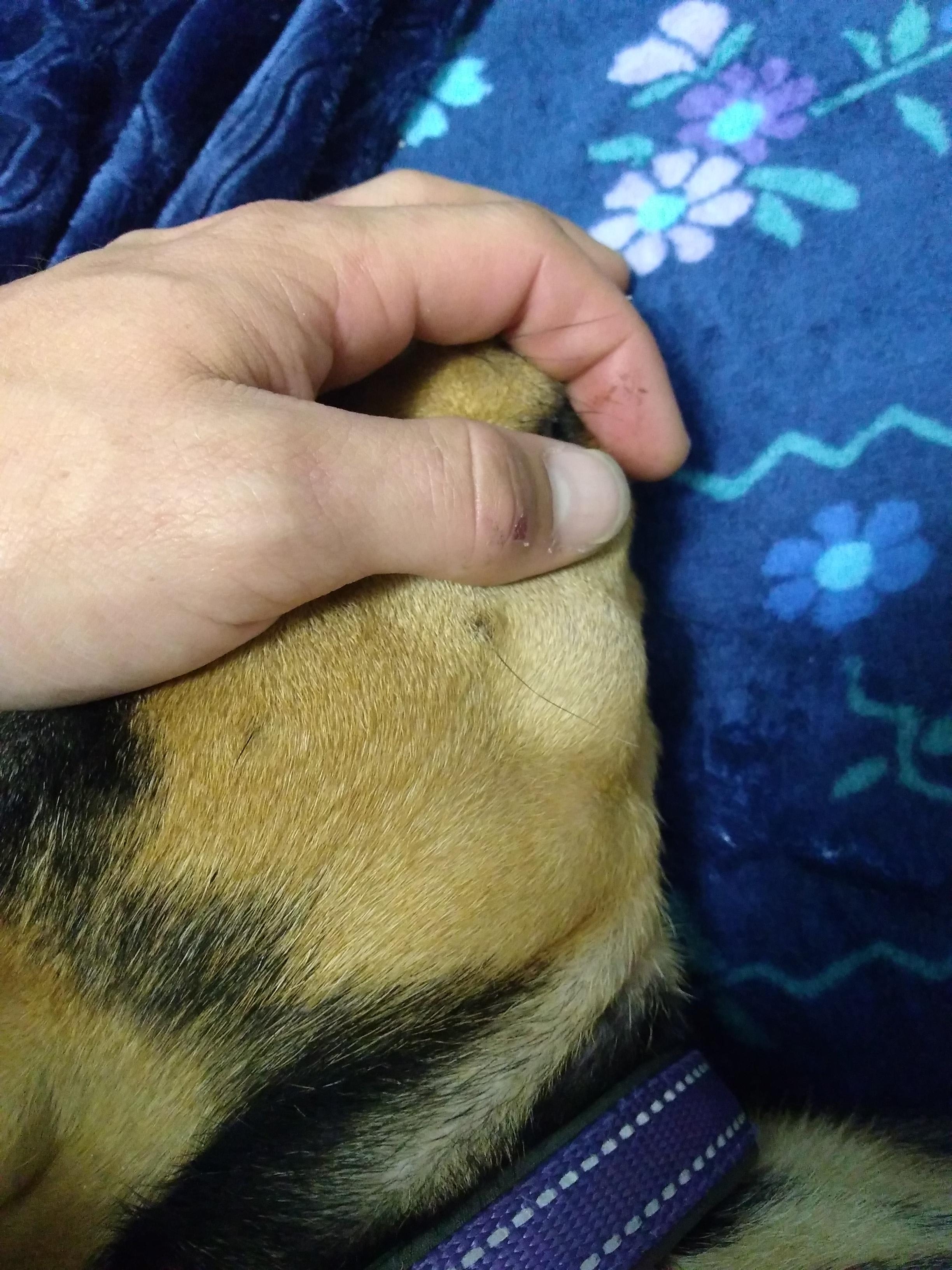 Question details sensitive content