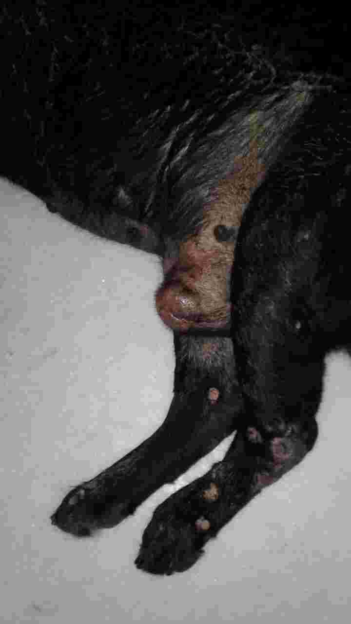 Question details sensitive content