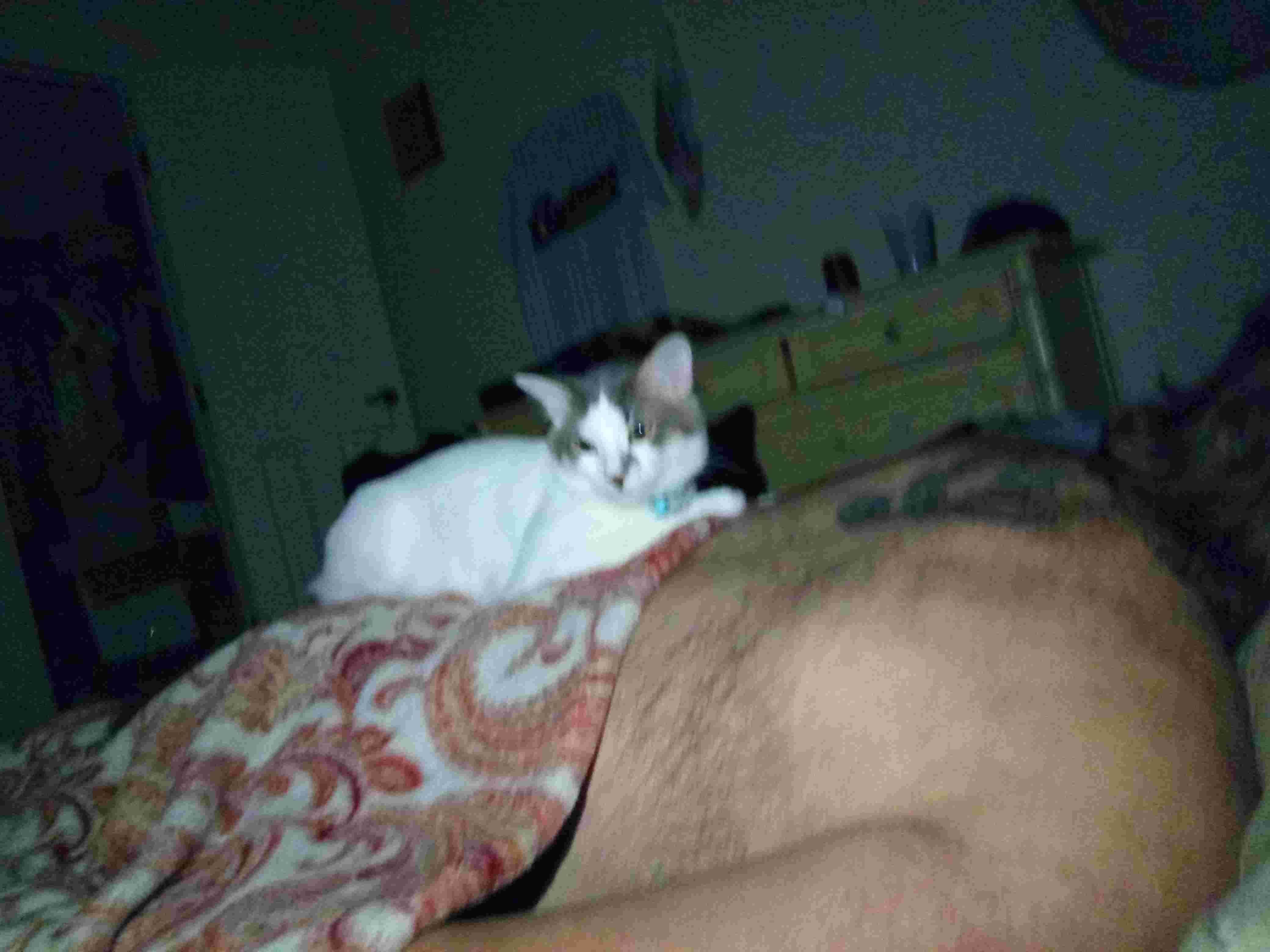 Question details sensitive content