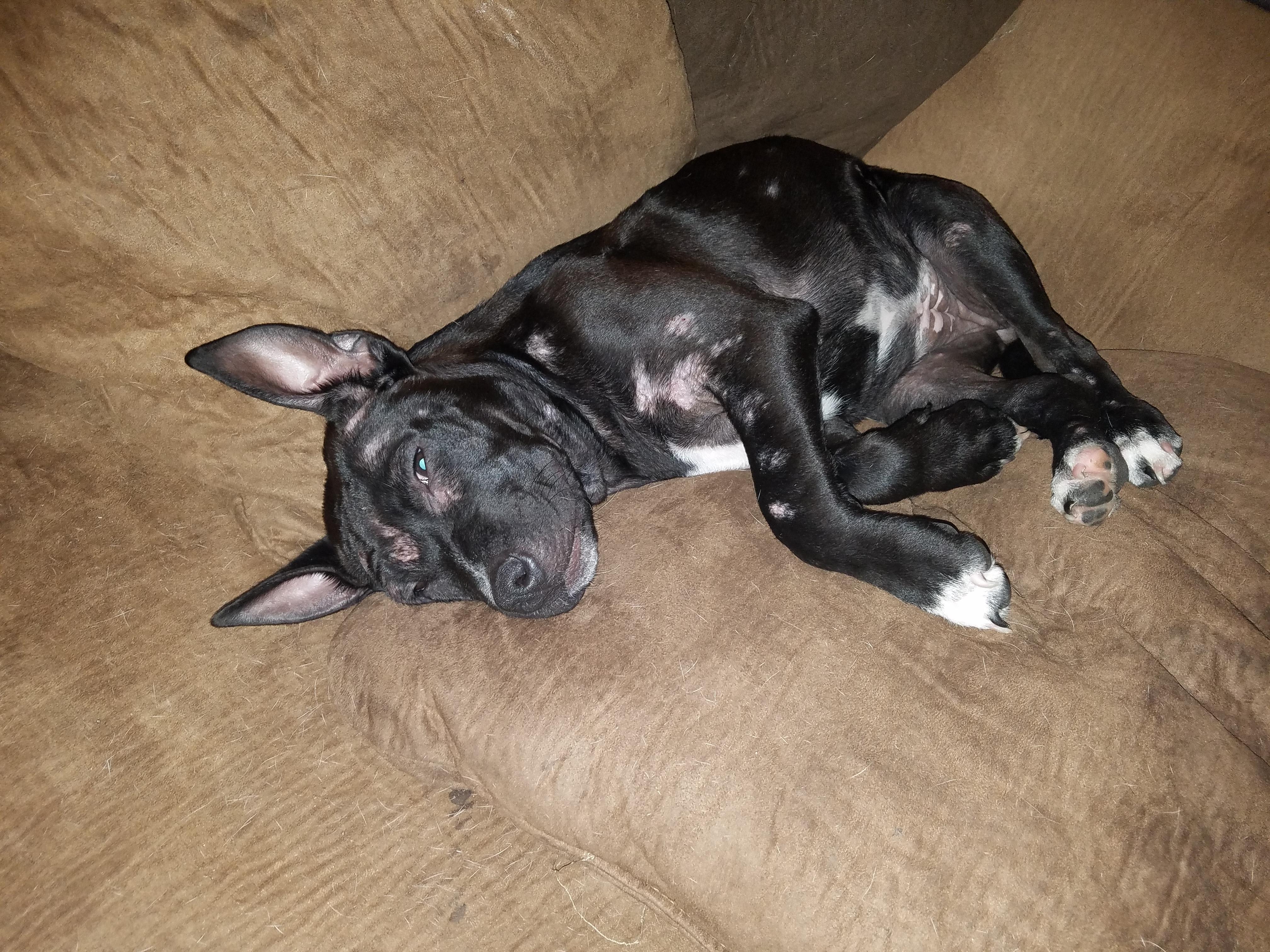 Question details sensitive content