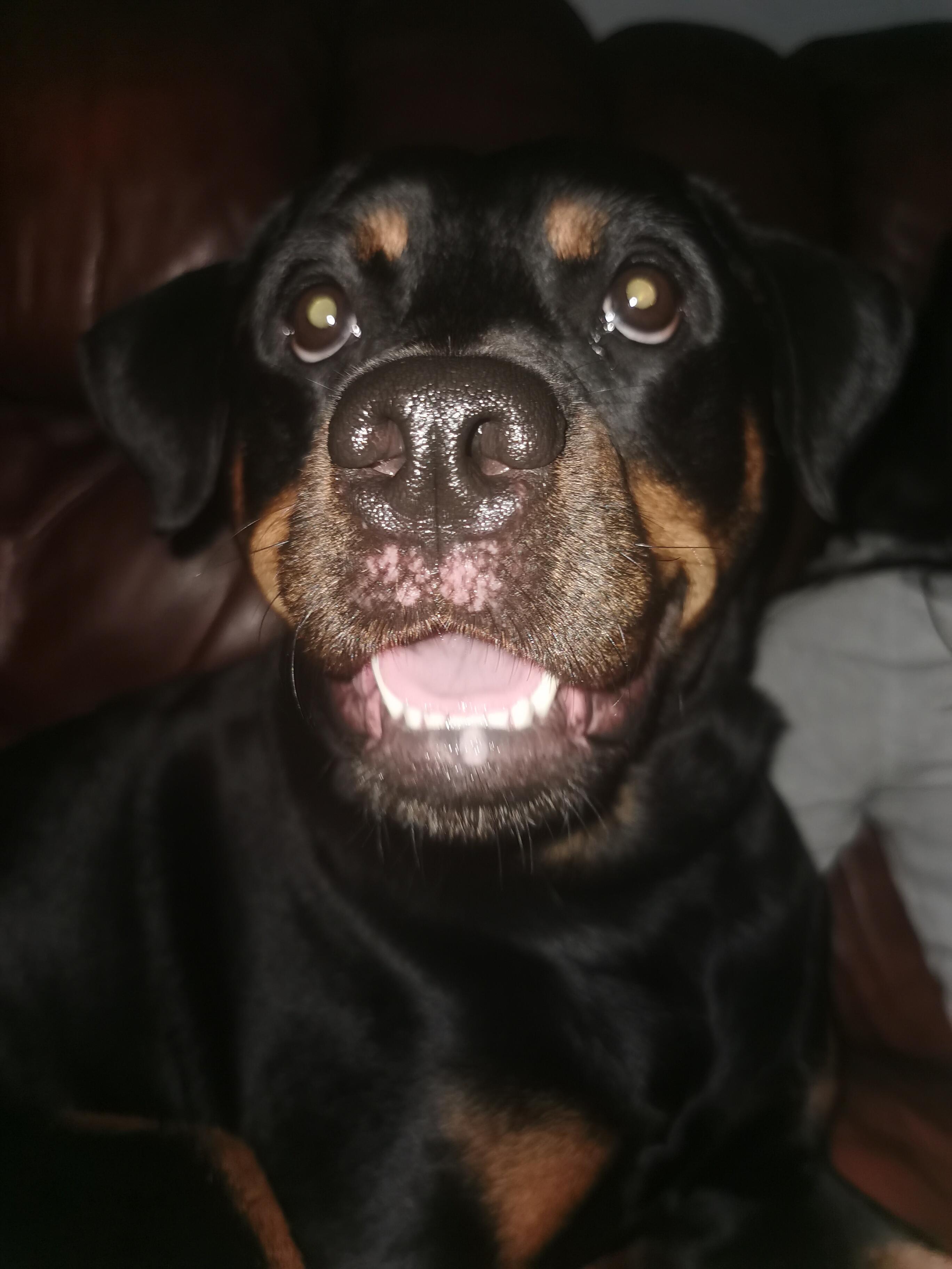 Question details sensitive content