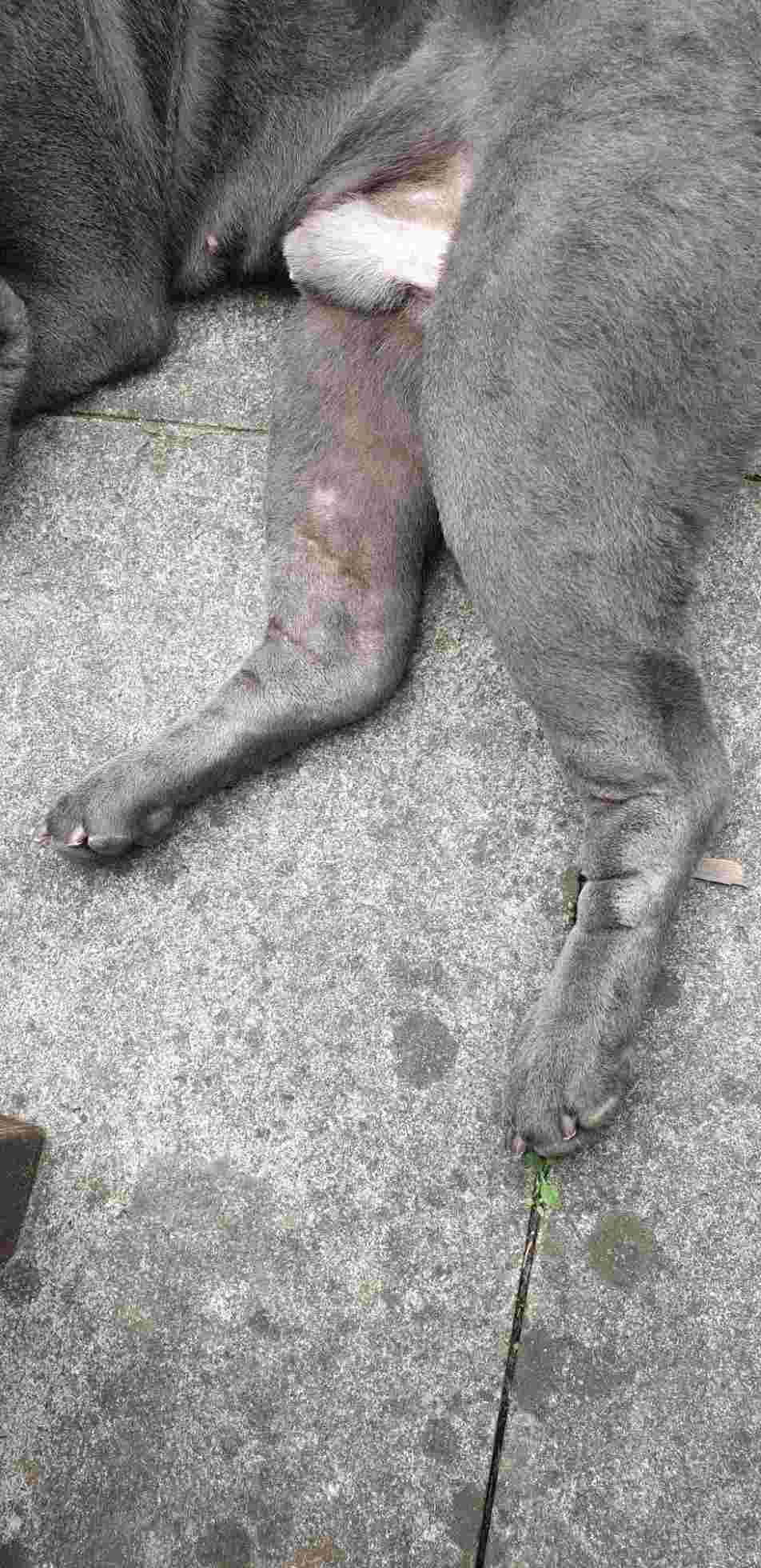 Question details sensitive content