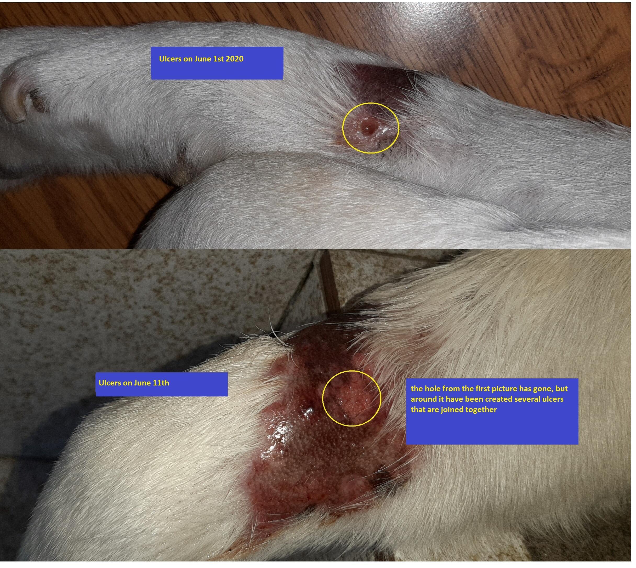 Question details sensitive content