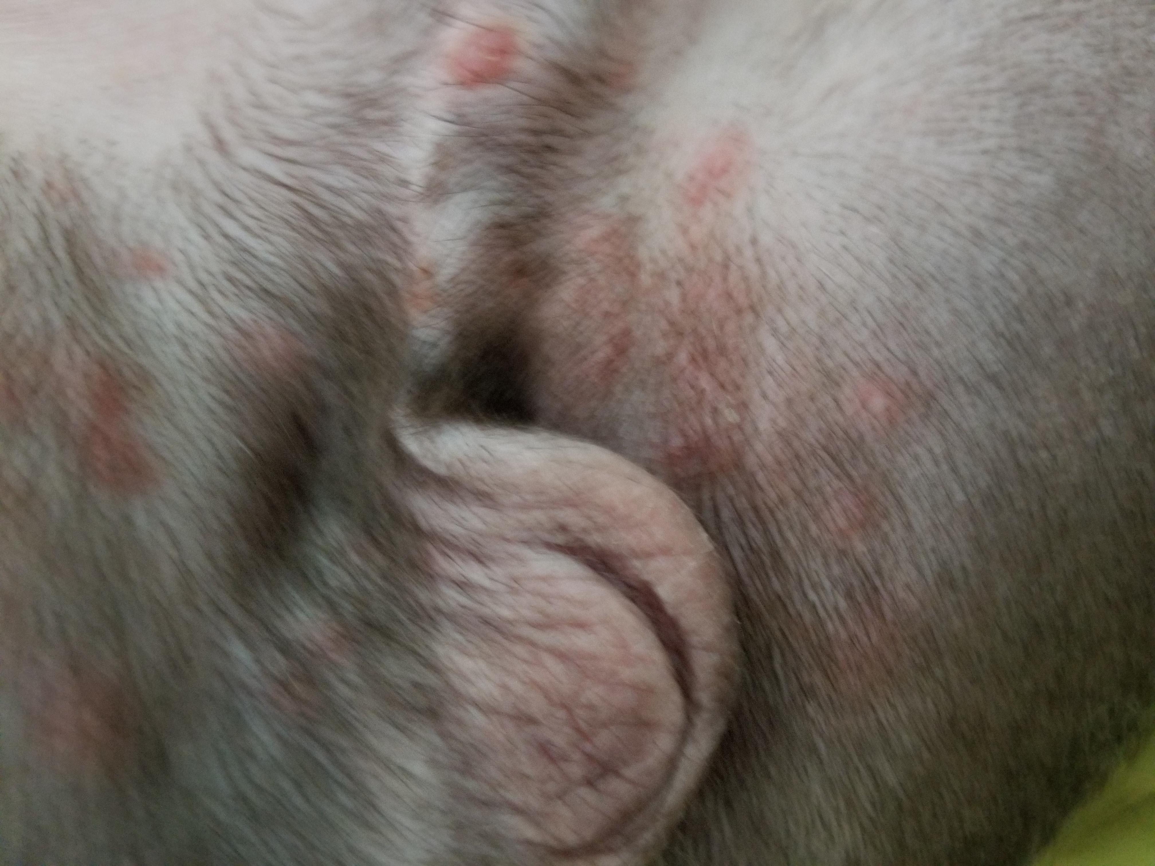 Question details sensitive content