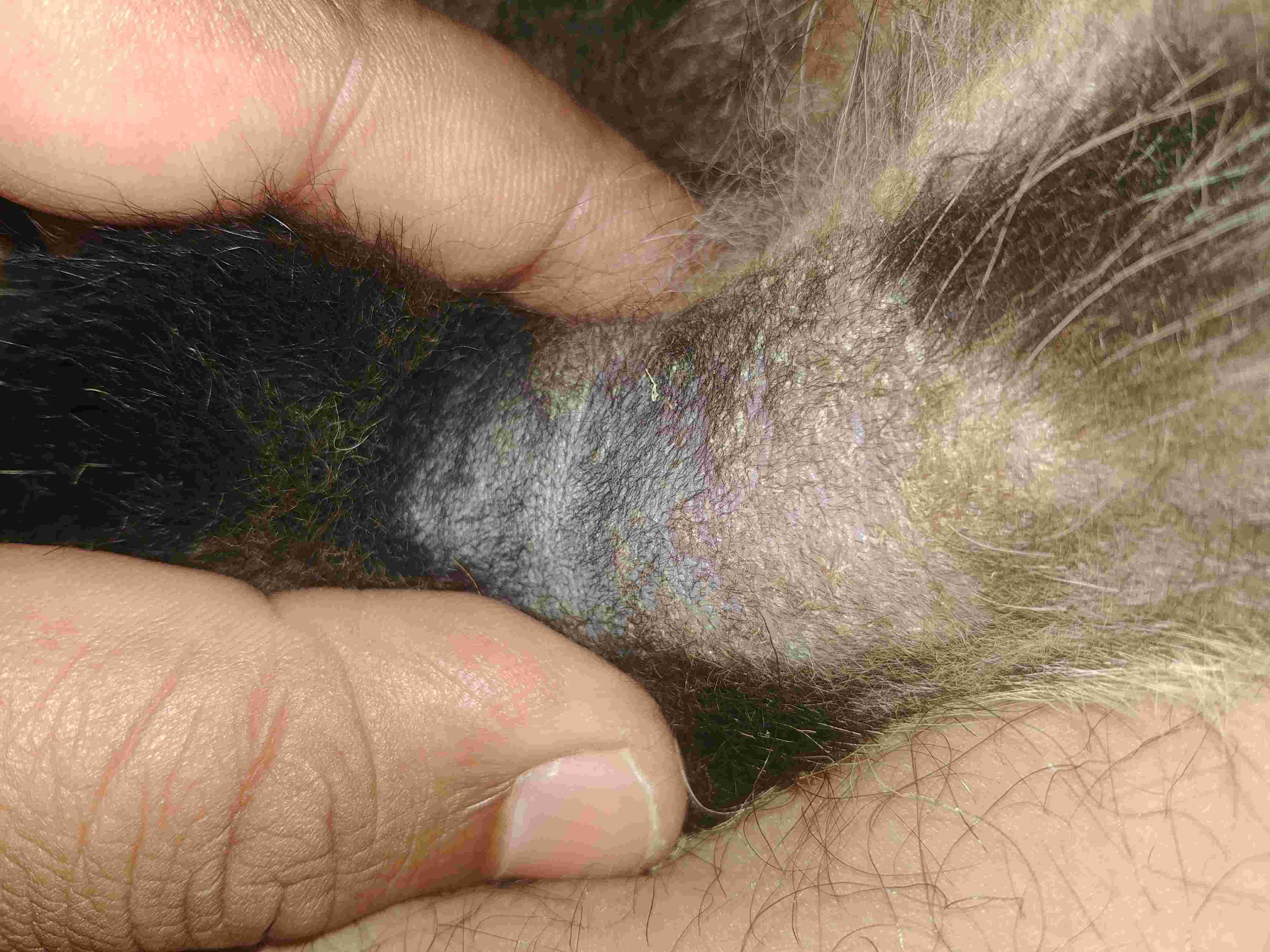 Question details sensitive content