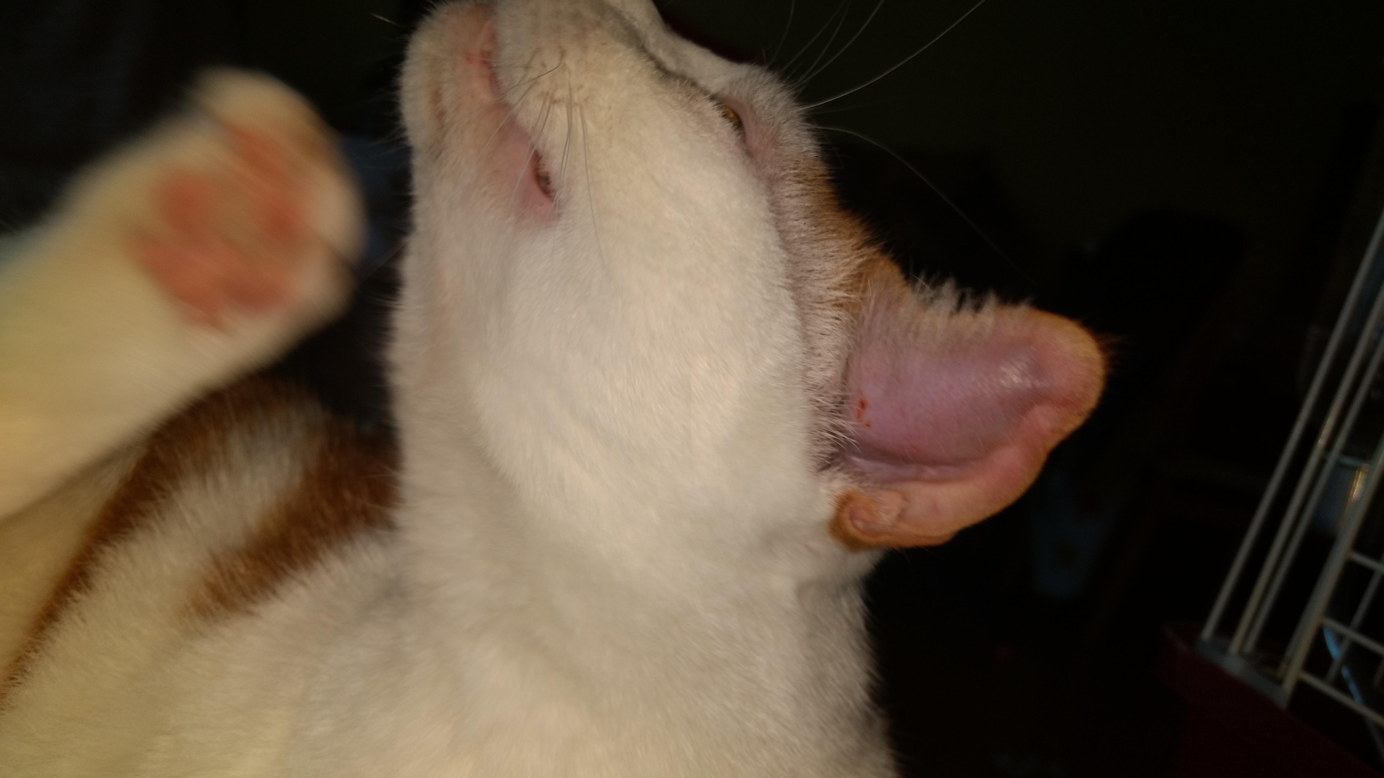 Question details sensitive content