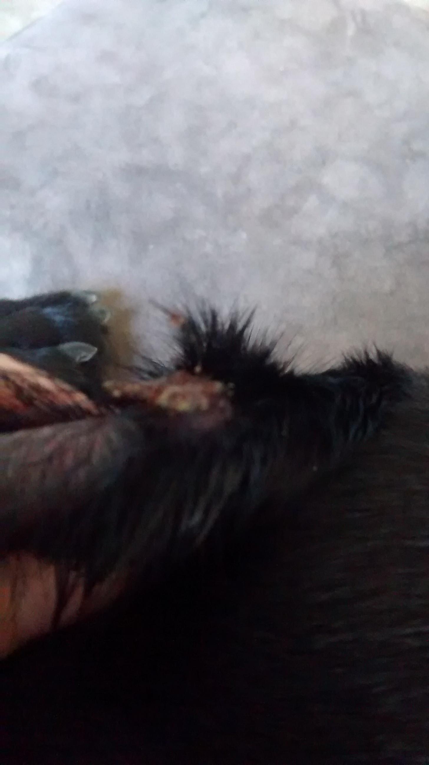 Question details sensitive content