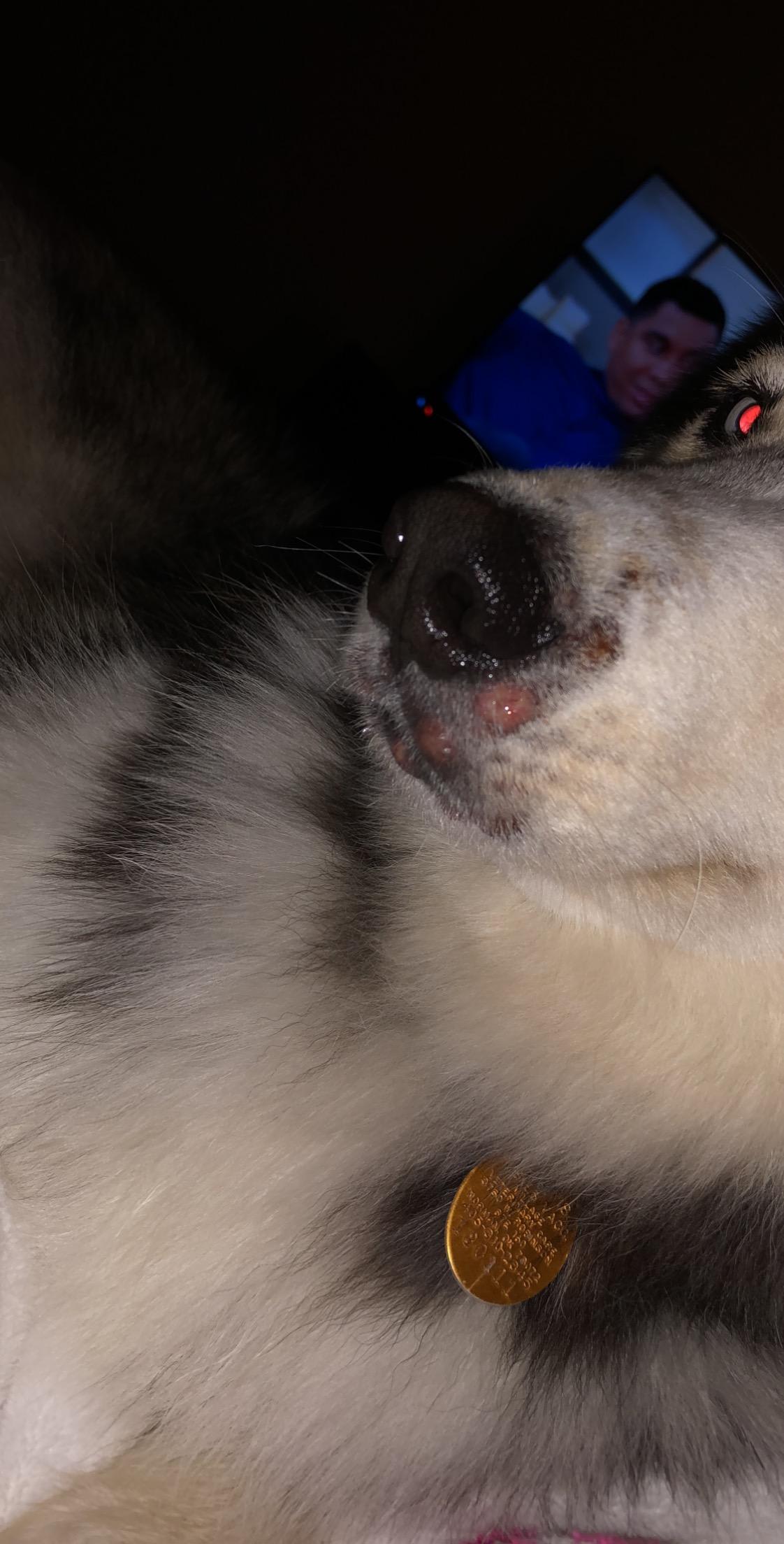 Question details sensitive content