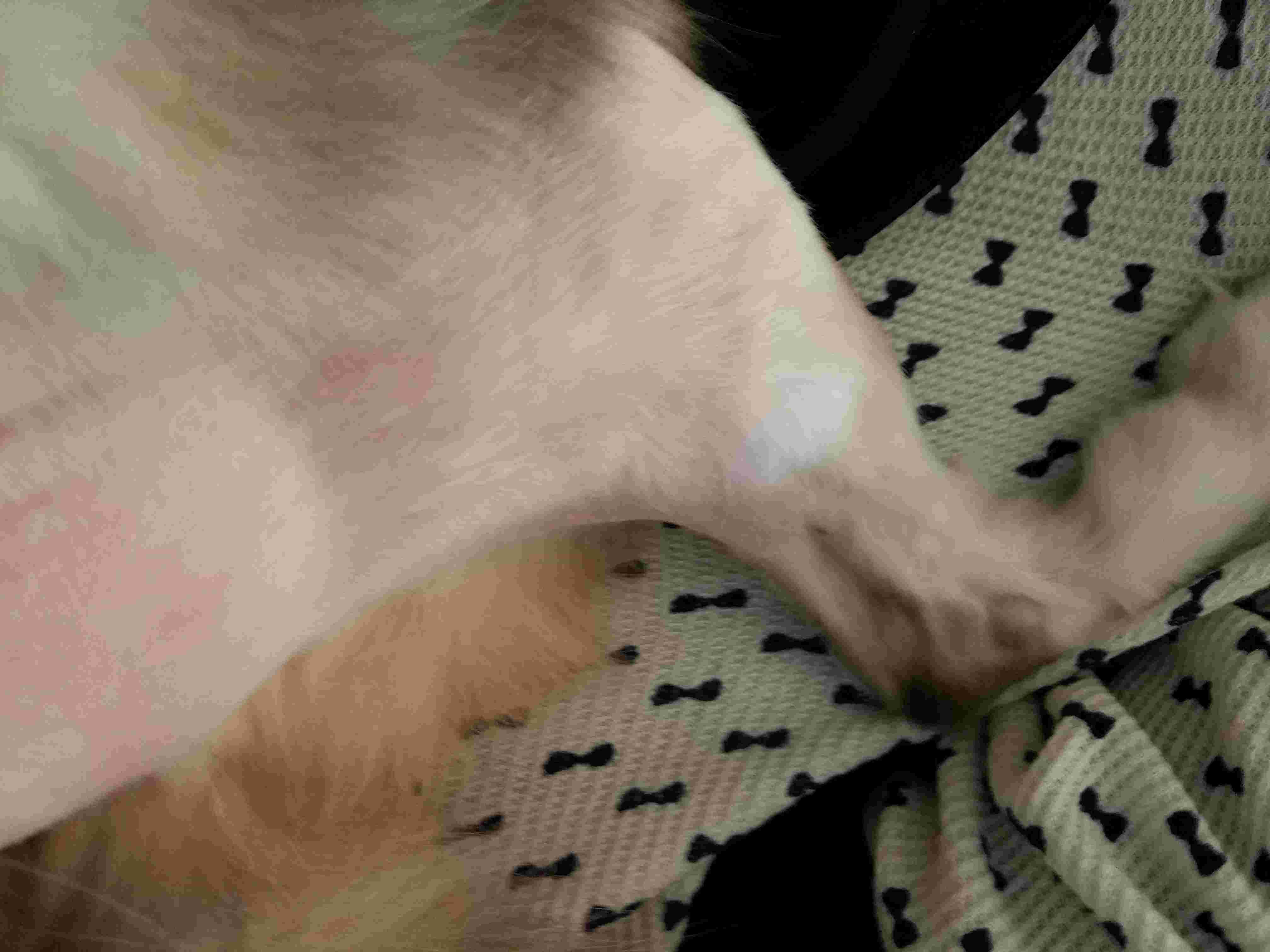 Question details sensitive content