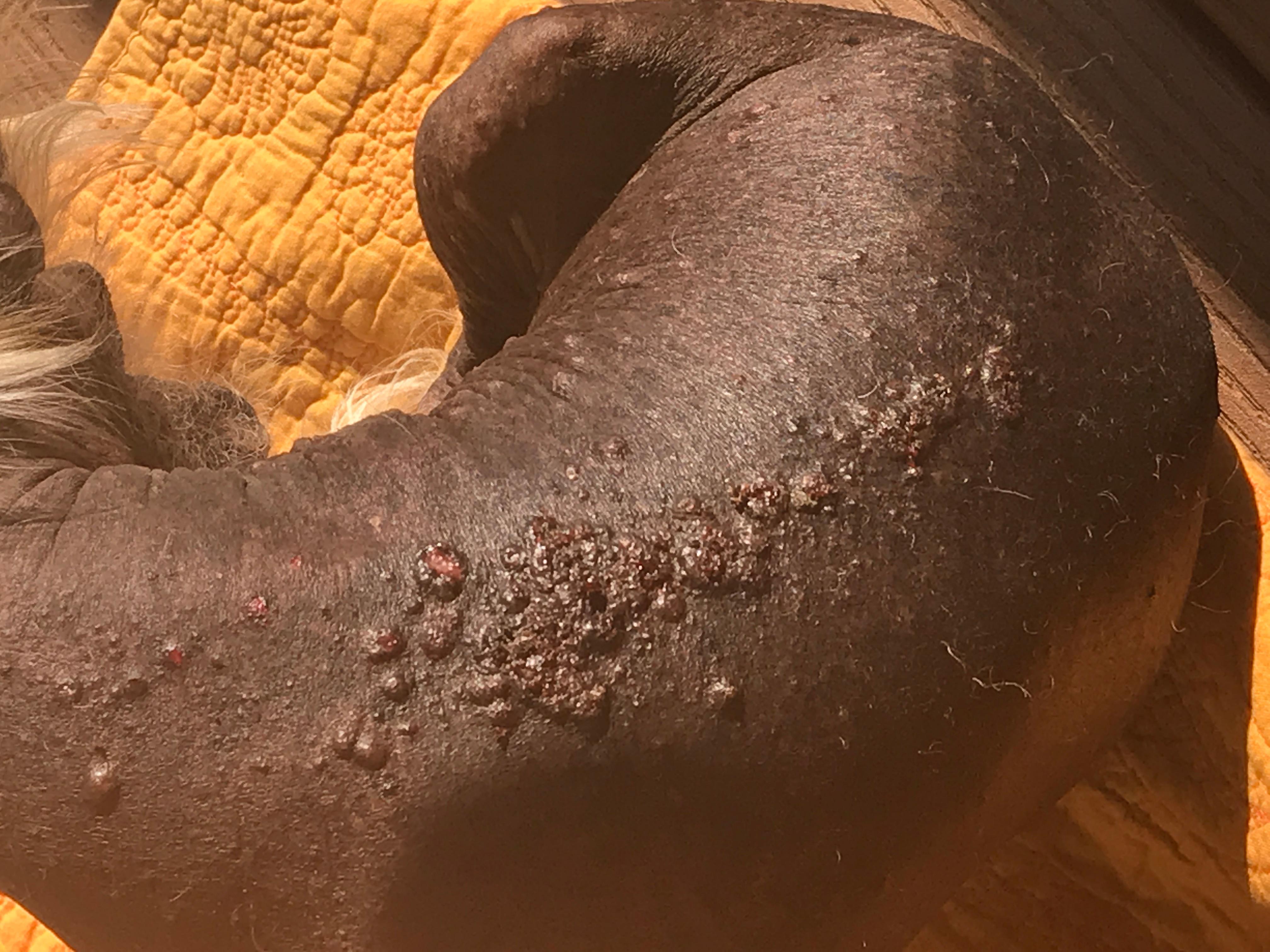 Question details sensitive content