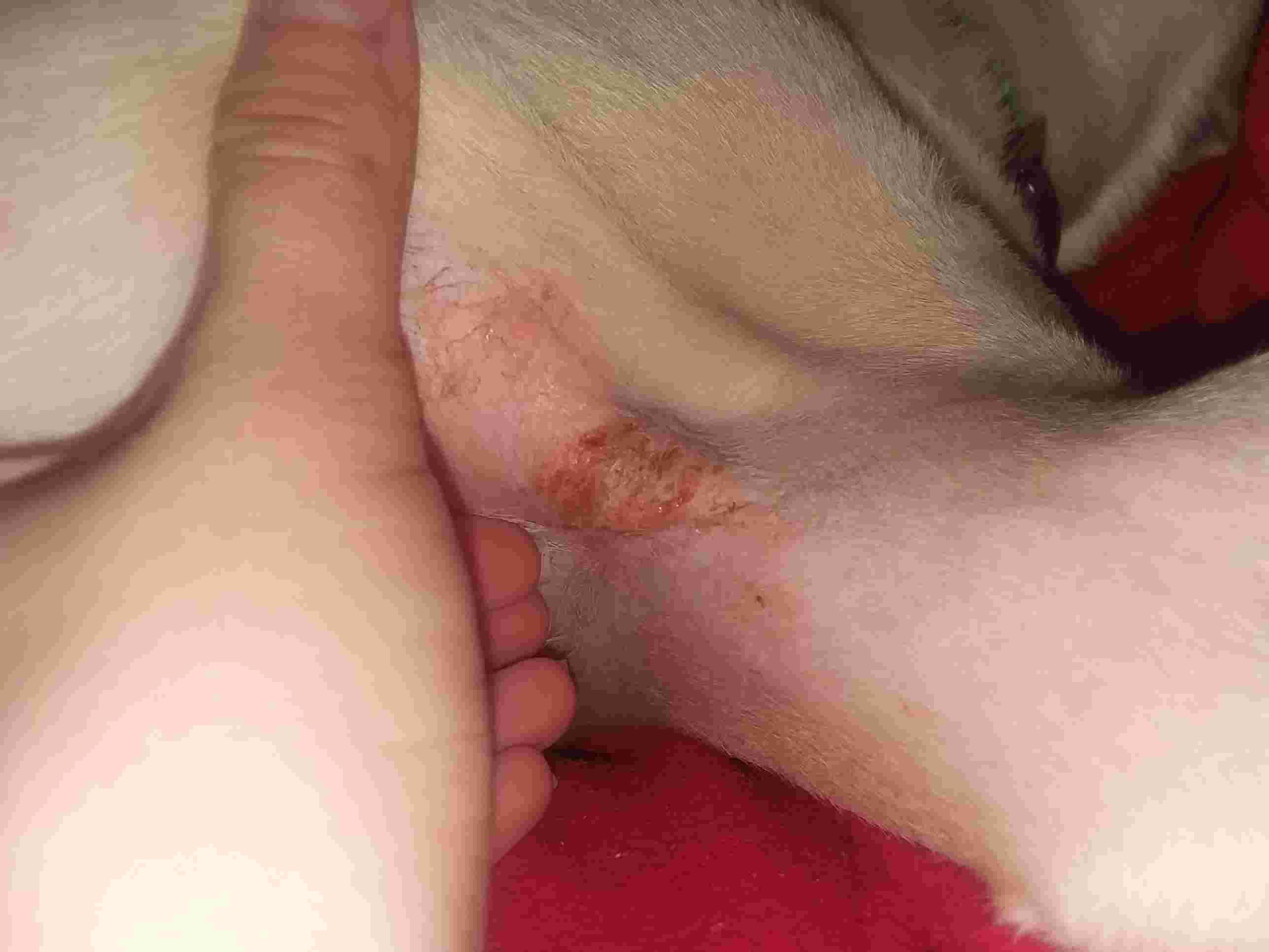 Question details sensitive content