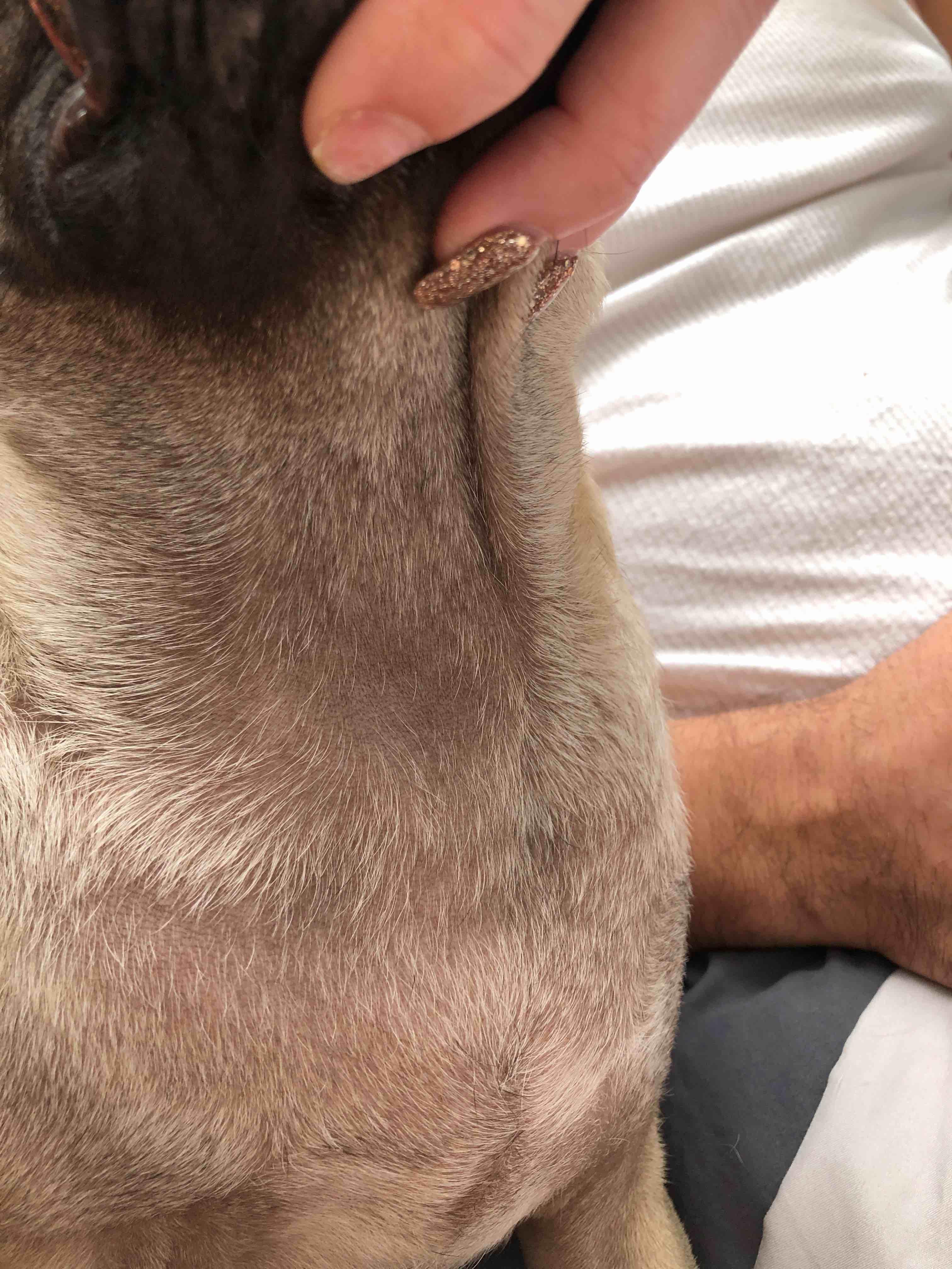 Question details sensitive content