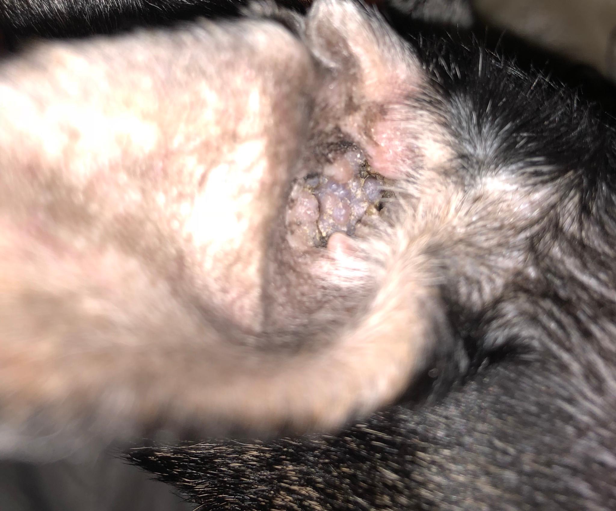 Question details sensitive content