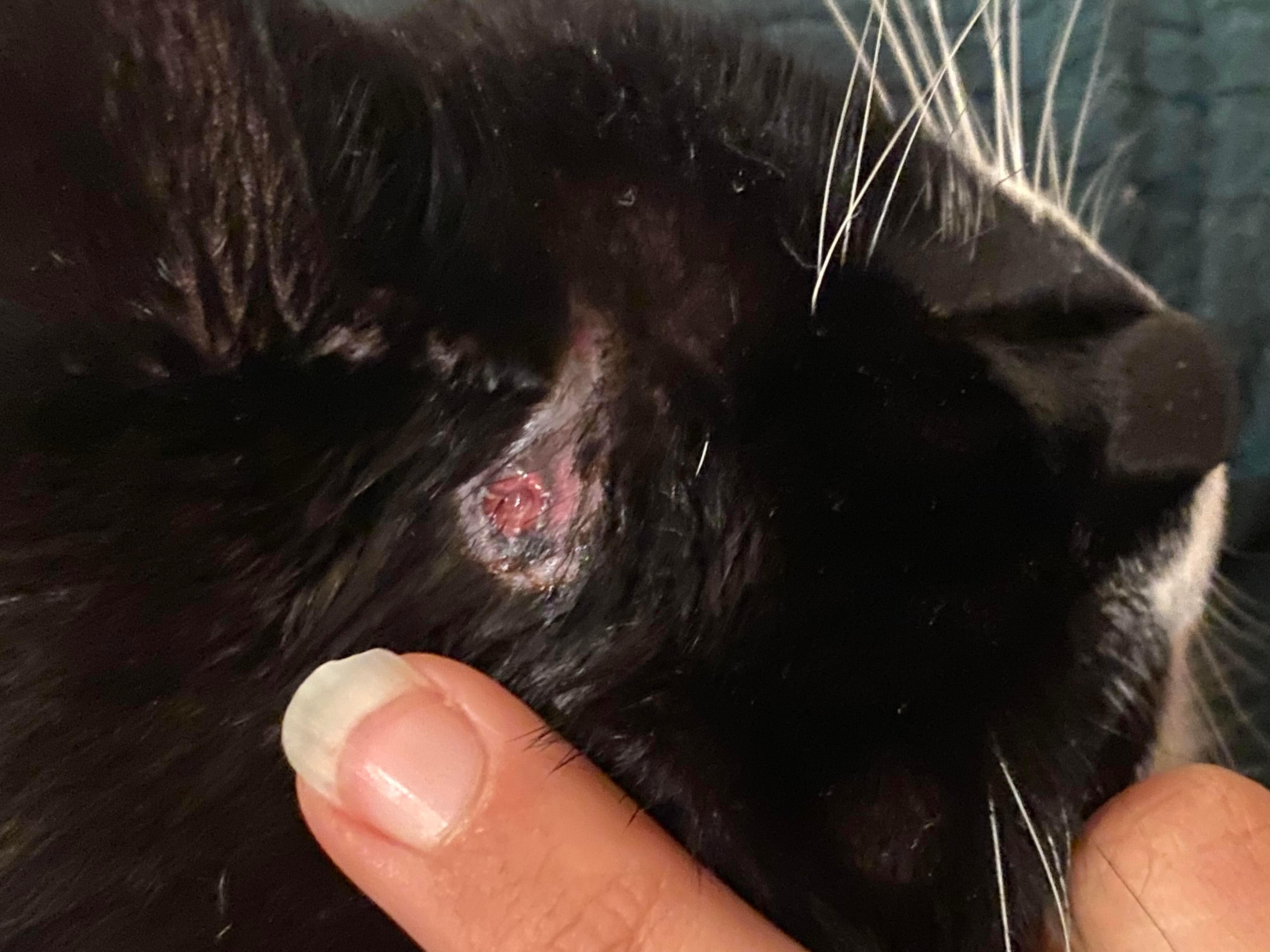 Question details sensitive content